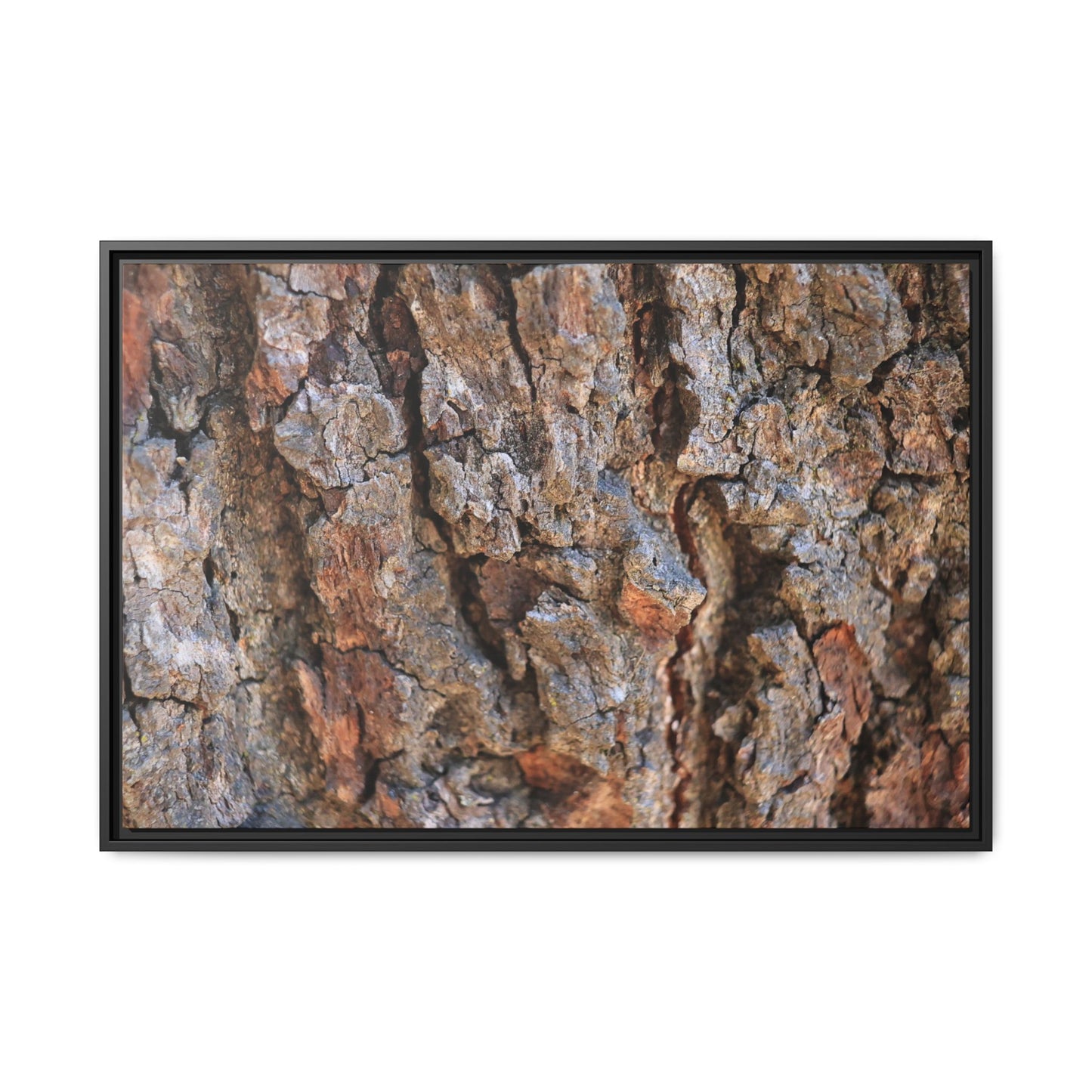 Craggy Textures - Unique Stretched Canvas Wall Art