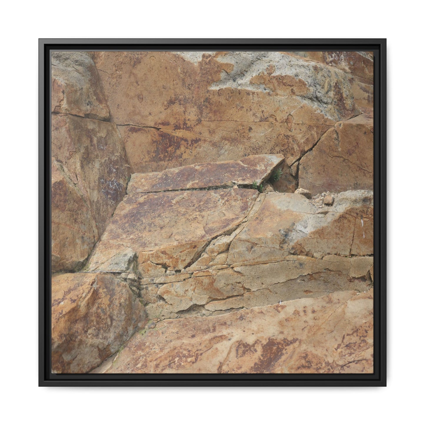 Ancient Foundations - Unique Stretched Canvas Wall Art