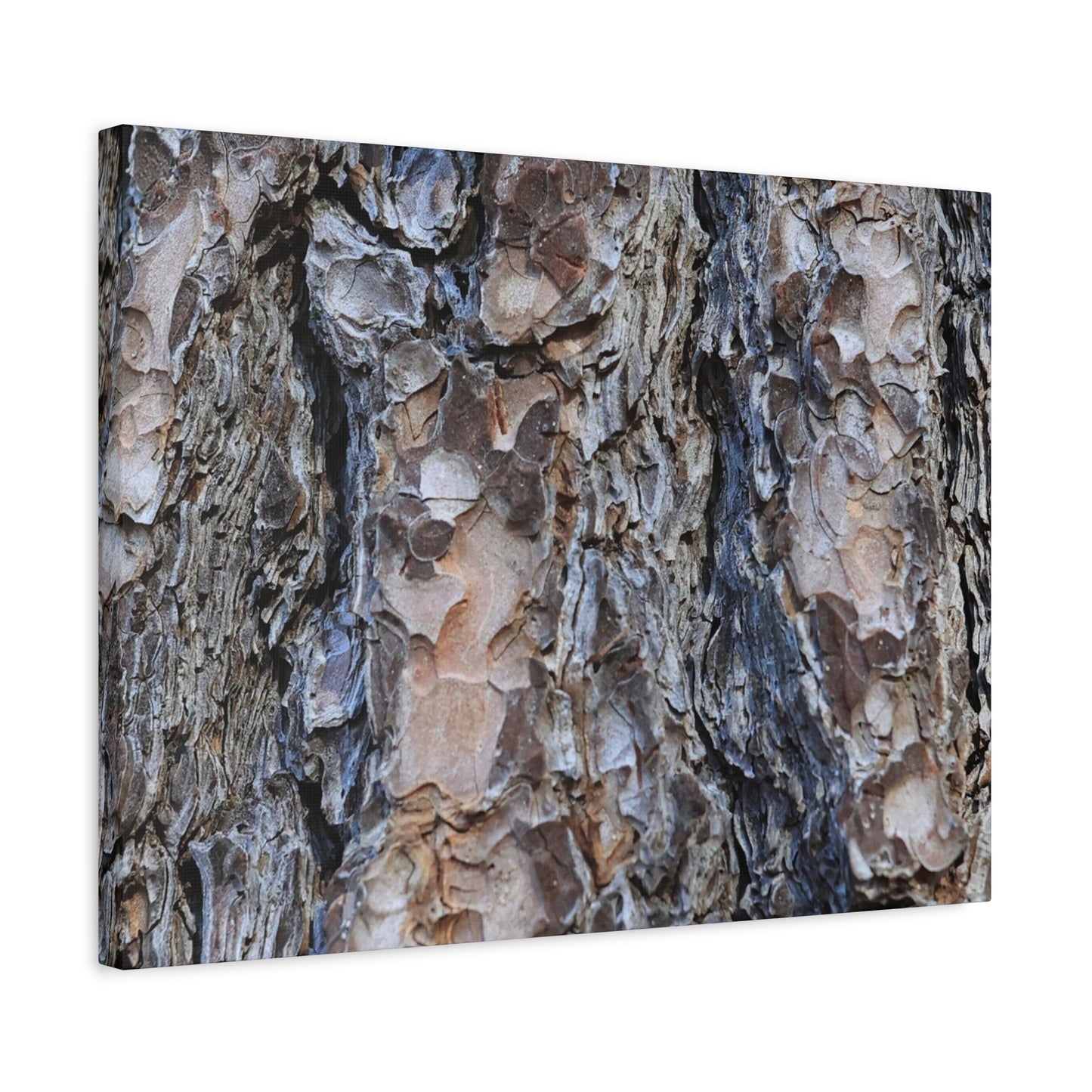 Arboreal Patterns - Unique Frameless Canvas Wall Art