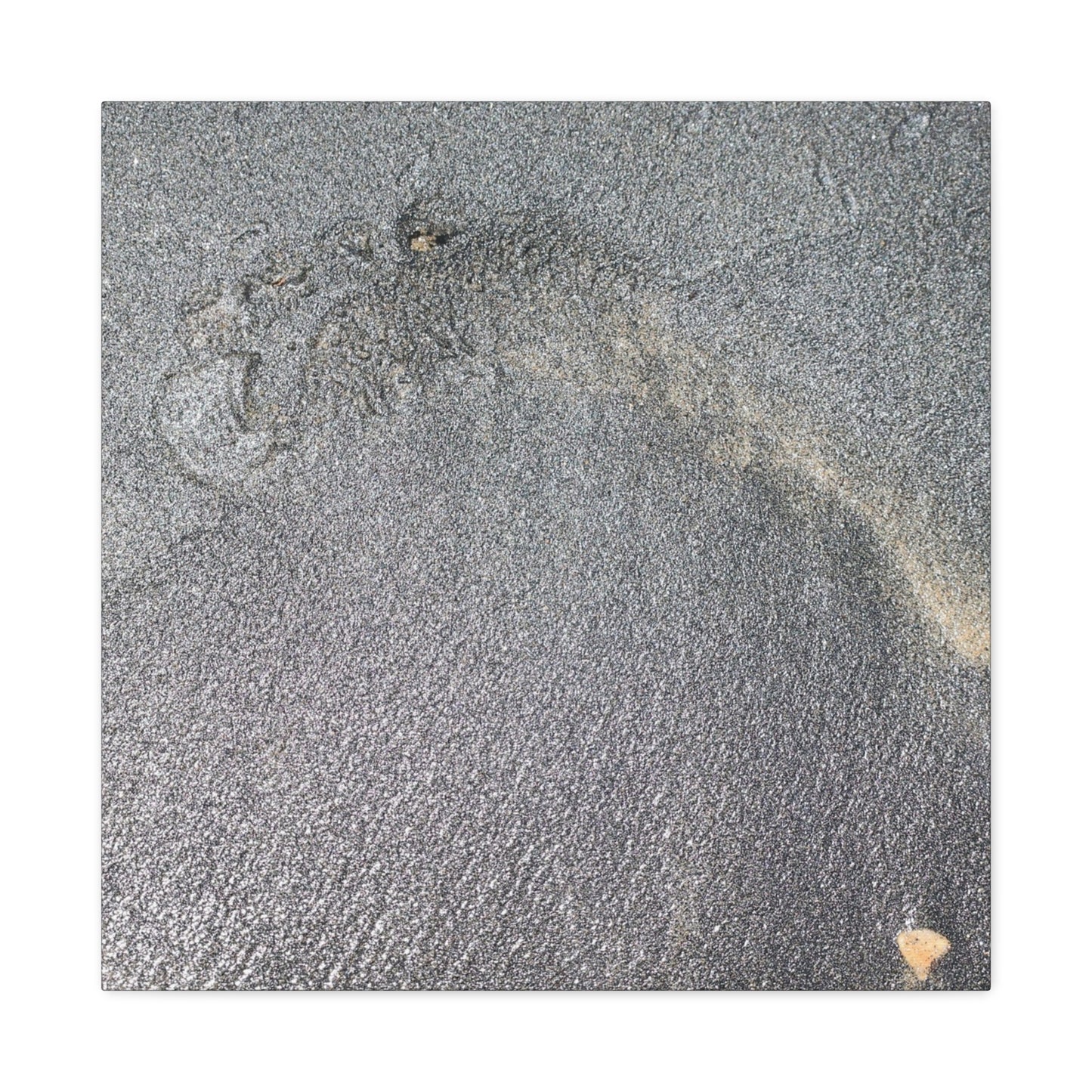 Ephemeral Whispers of Granite - Unique Frameless Canvas Wall Art
