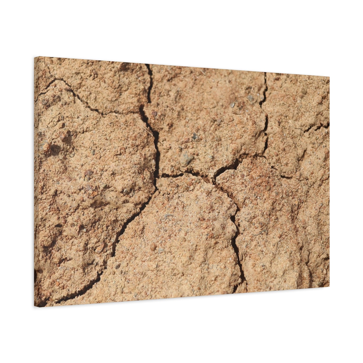Cracked Earth's Lament - Unique Frameless Canvas Wall Art