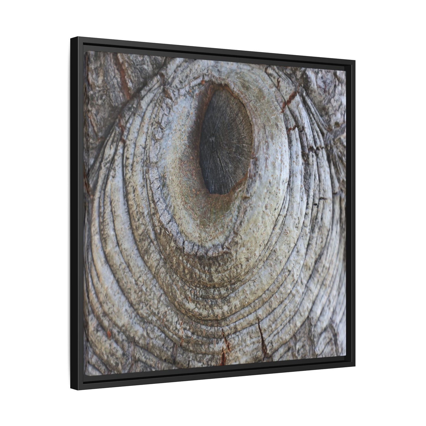 Echoes of Time - Unique Stretched Canvas Wall Art