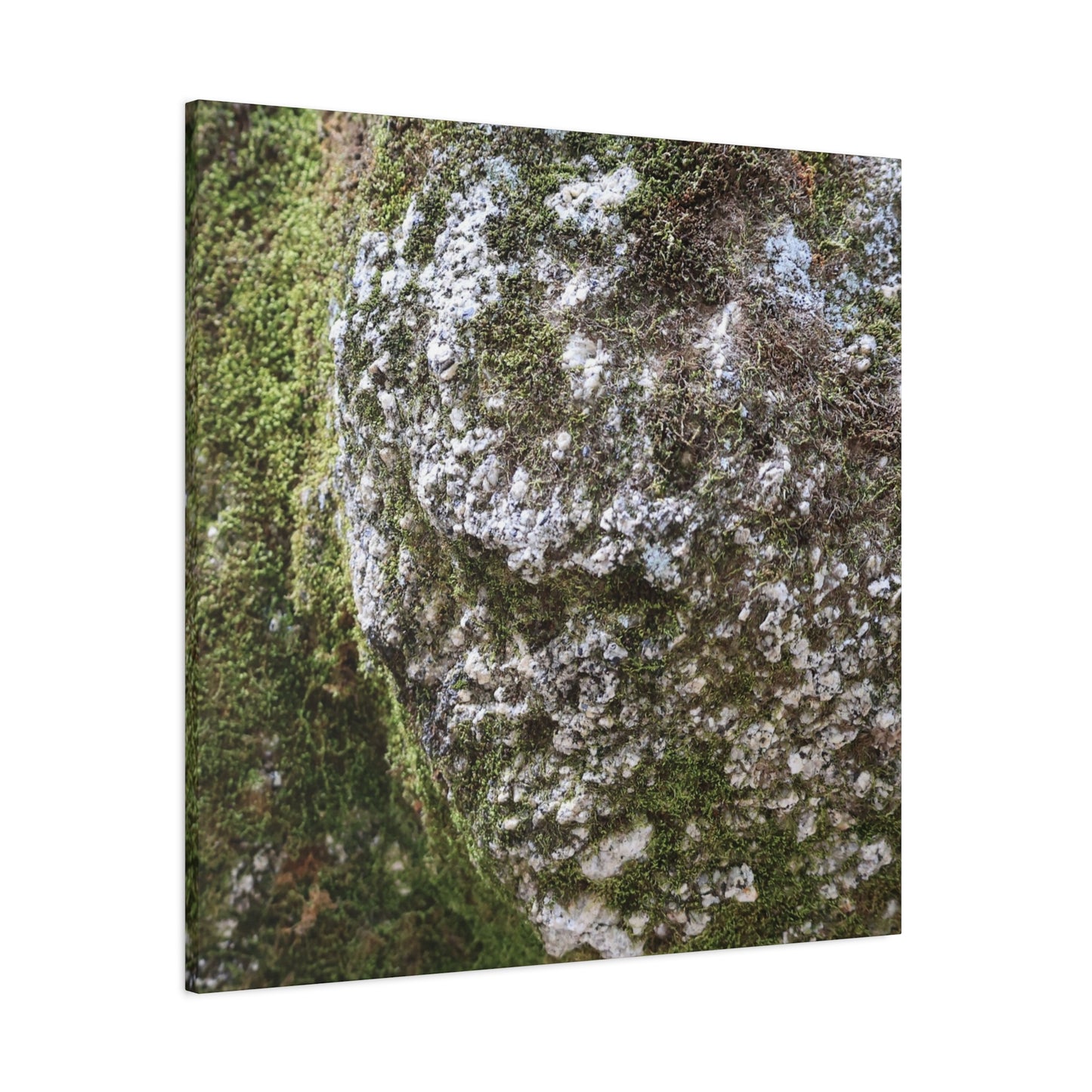 Moss and Stone Whispers - Unique Frameless Canvas Wall Art