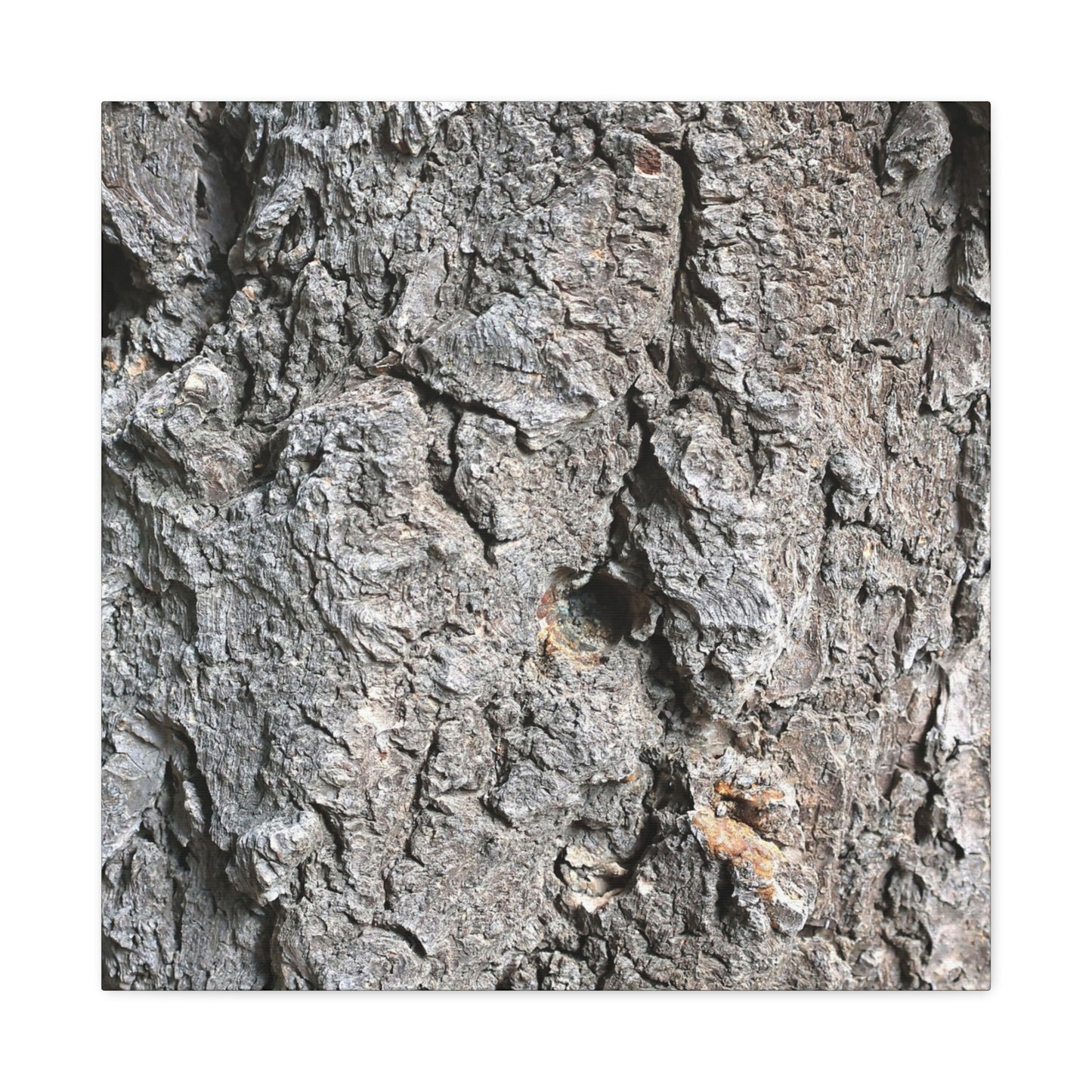 Elemental Canvas - Unique Frameless Canvas Wall Art