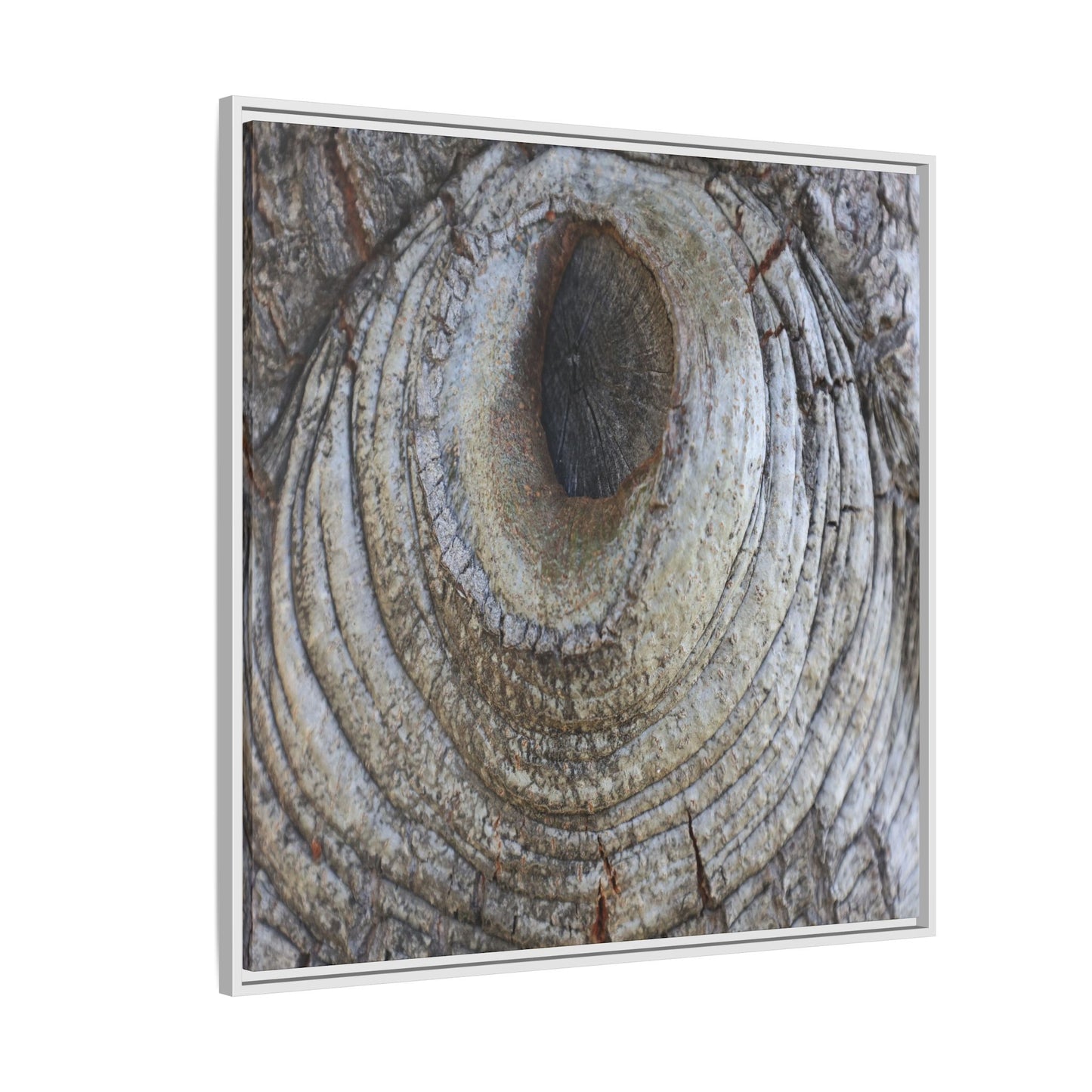 Echoes of Time - Unique Stretched Canvas Wall Art
