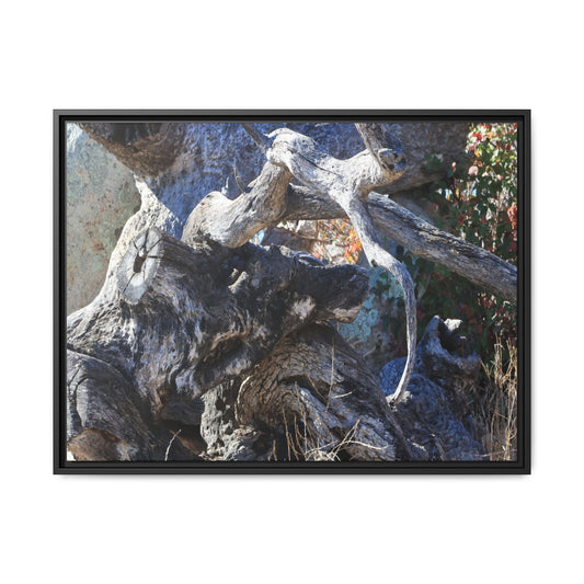 Resilient Roots - Unique Stretched Canvas Wall Art - Art By Earth