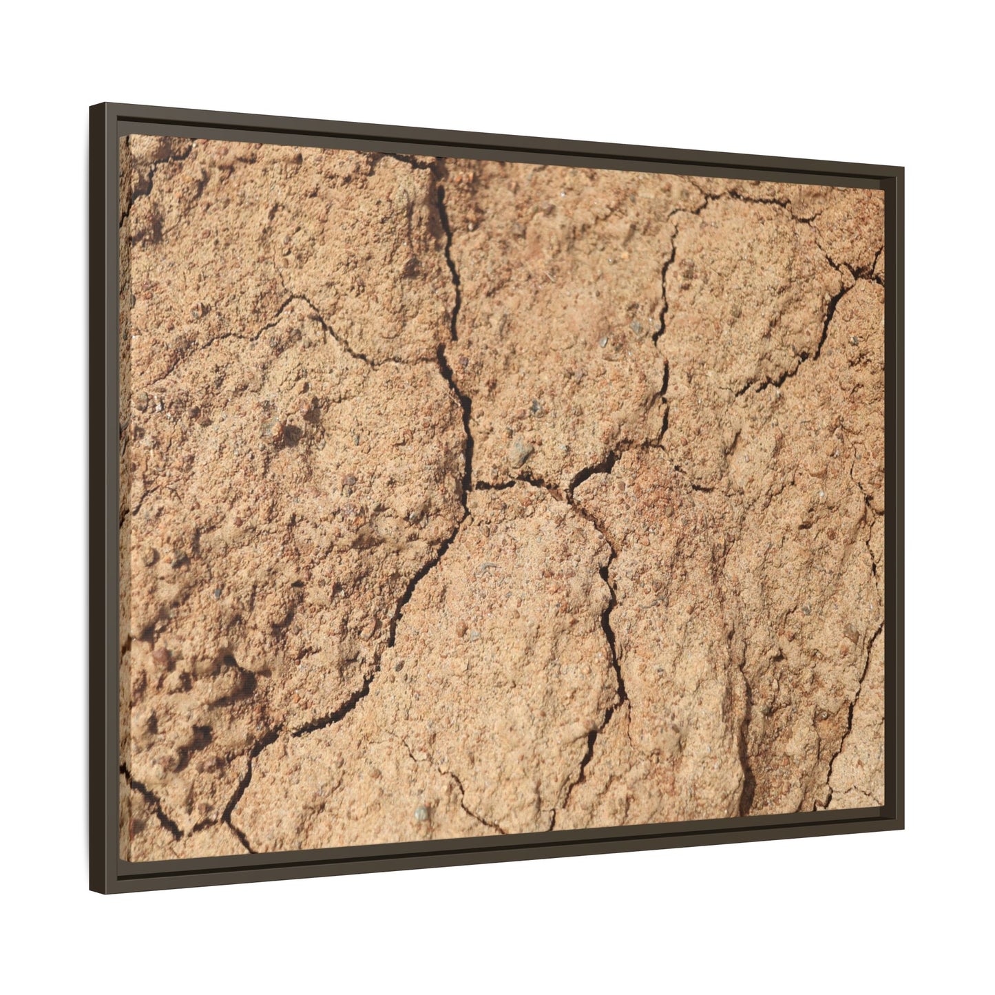 Parched Land - Unique Stretched Canvas Wall Art