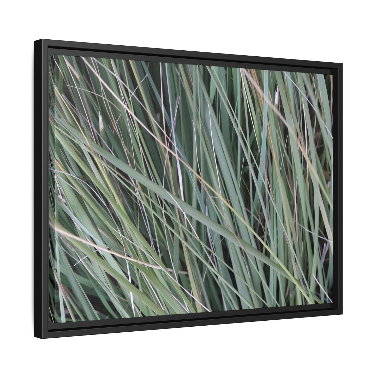 Grassland Symphony - Unique Stretched Canvas Wall Art