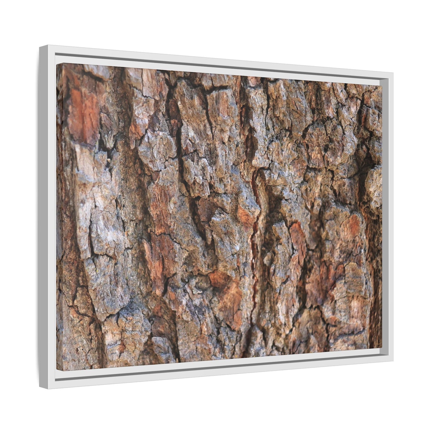 Tree's Timeworn Tale - Unique Stretched Canvas Wall Art