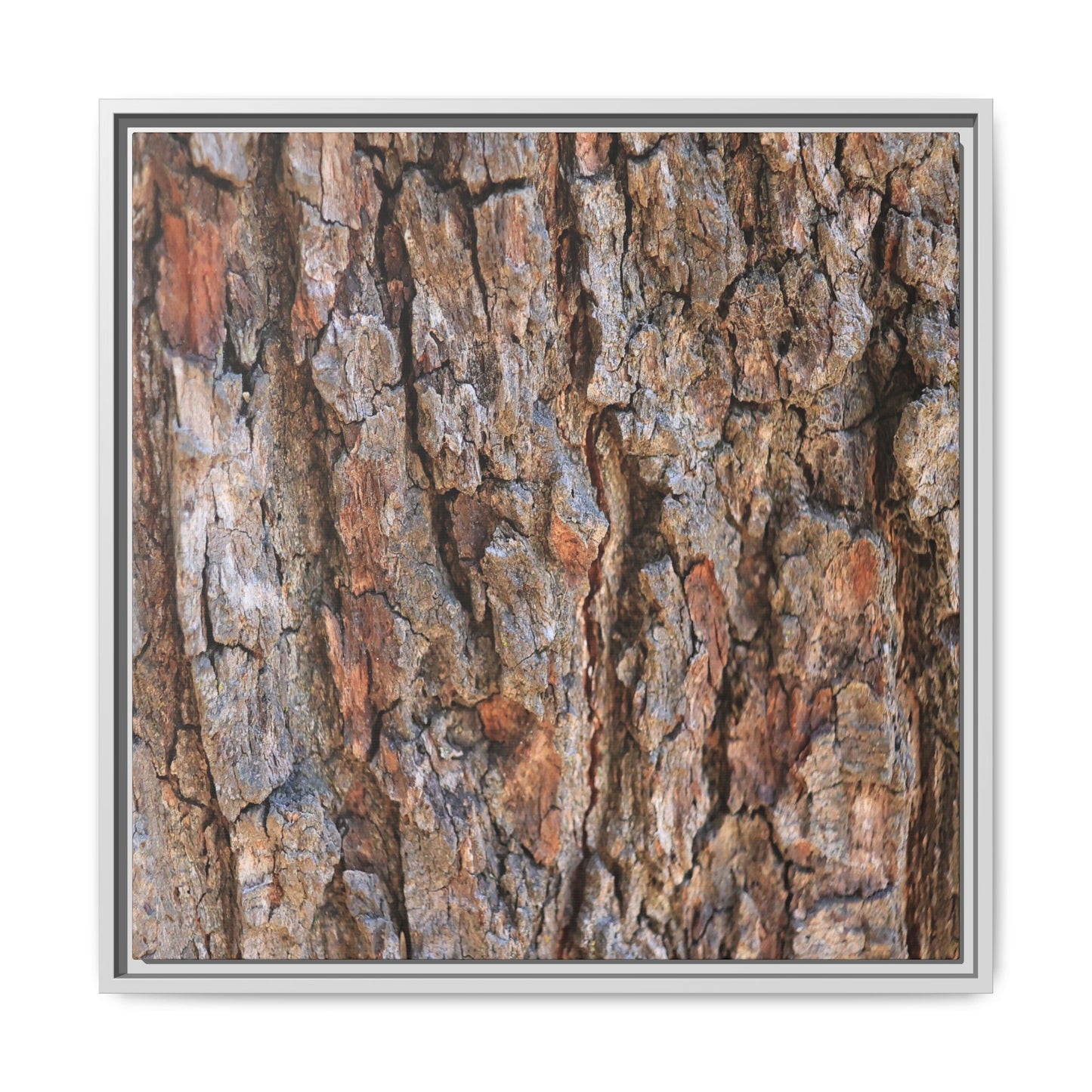 Tree's Timeworn Tale - Unique Stretched Canvas Wall Art