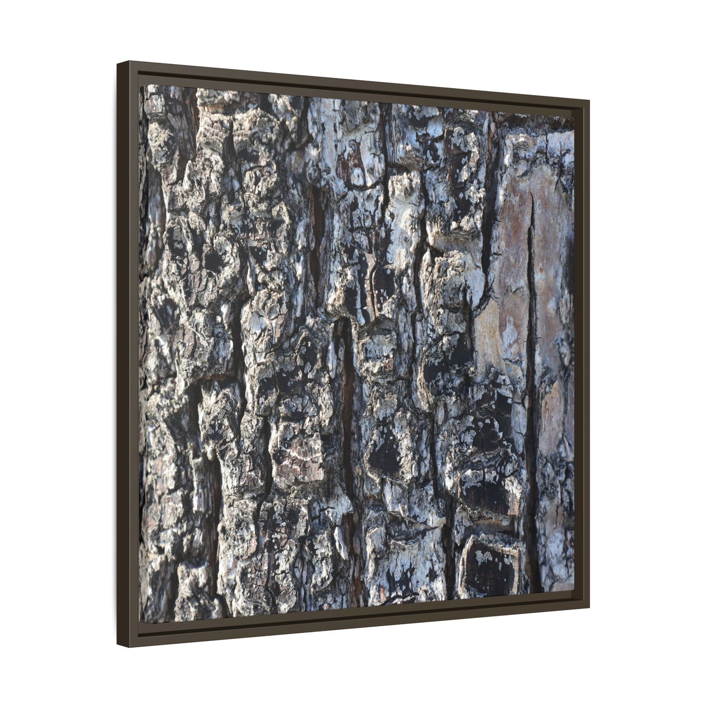 The Bark Chronicles - Unique Stretched Canvas Wall Art