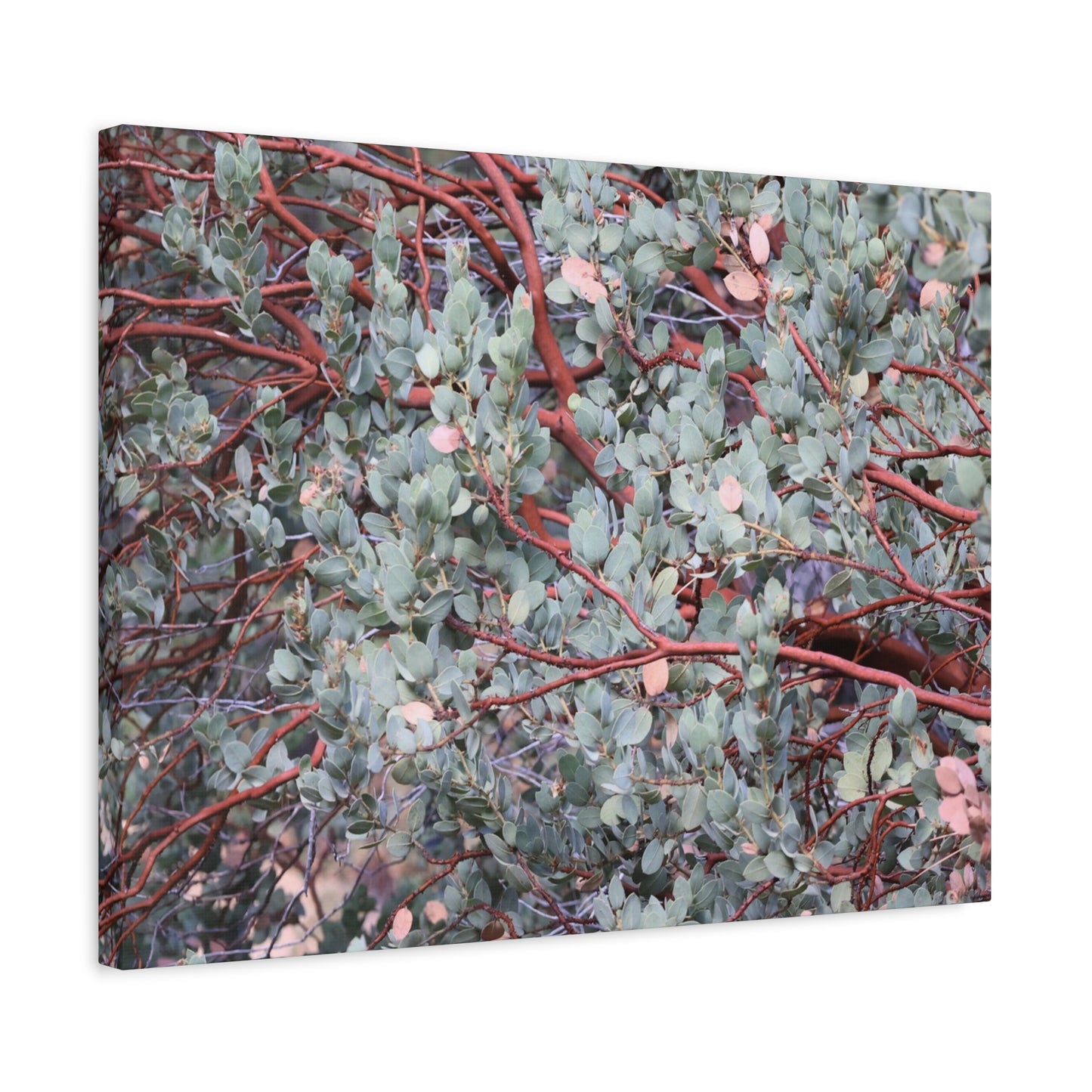 Whispers of Silver and Rust - Unique Frameless Canvas Wall Art
