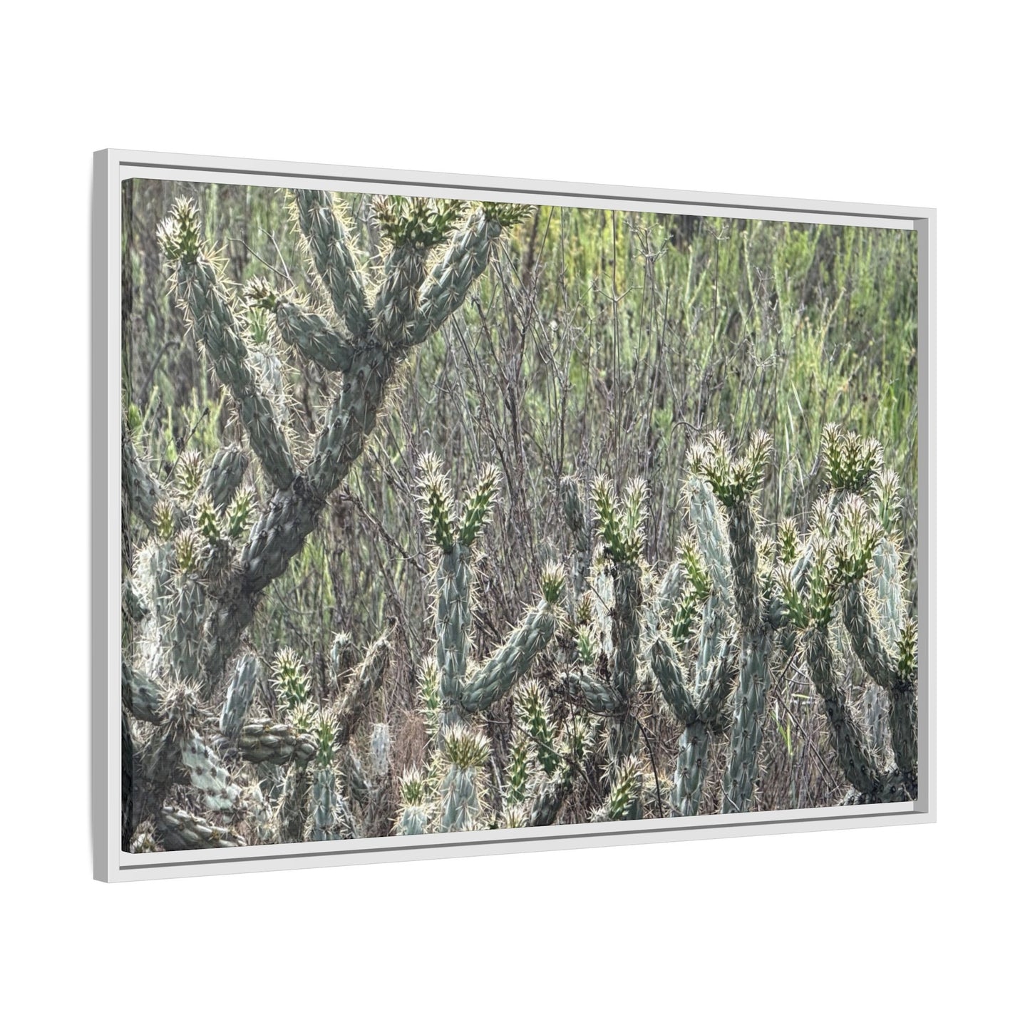 Prickly Paradise - Unique Stretched Canvas Wall Art