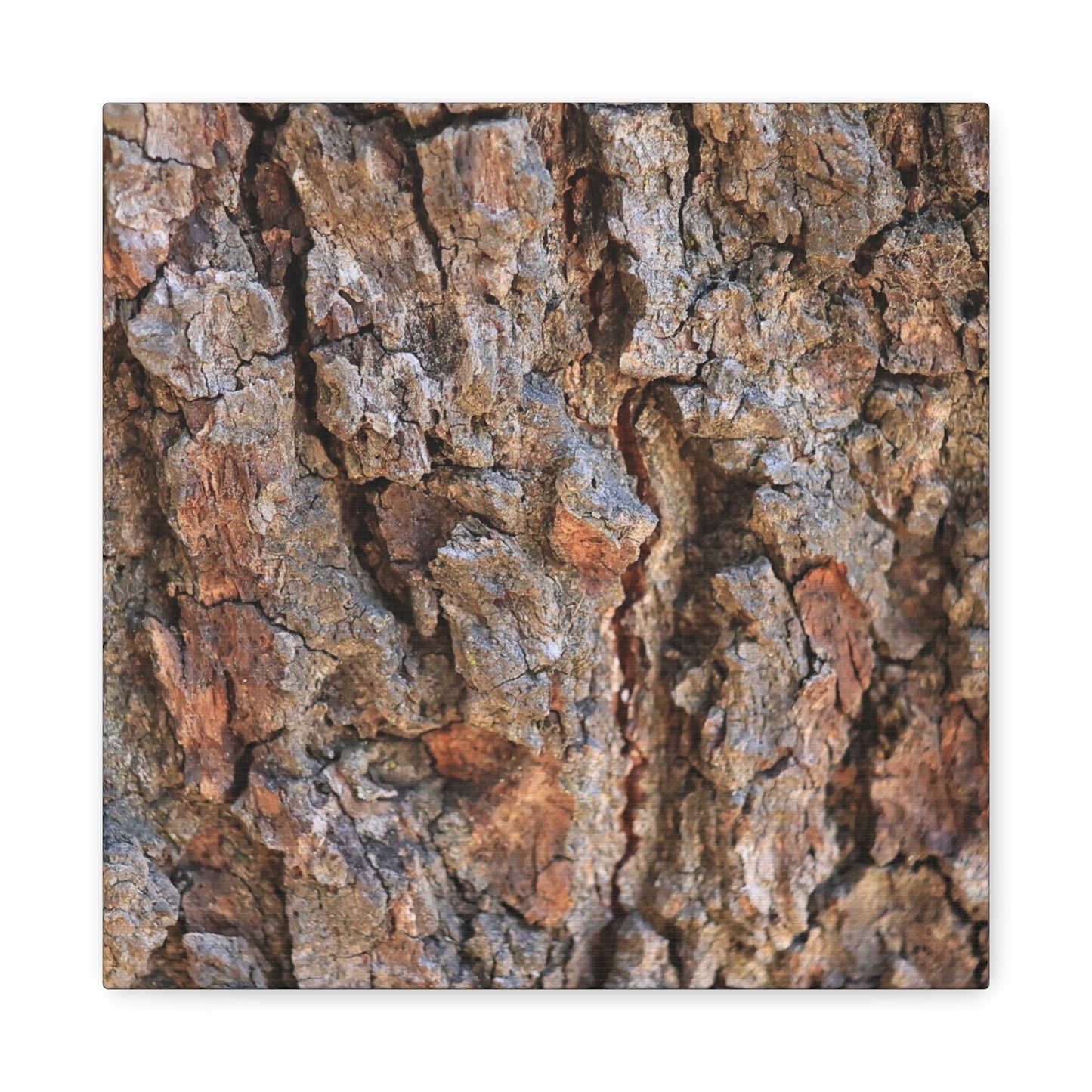 Roots of Time - Unique Frameless Canvas Wall Art