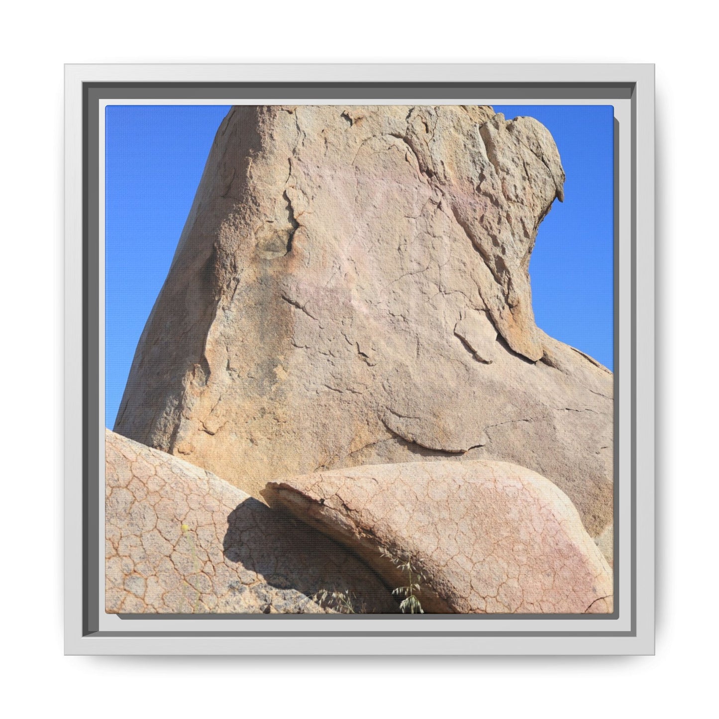 Rocky Sentinel - Unique Stretched Canvas Wall Art