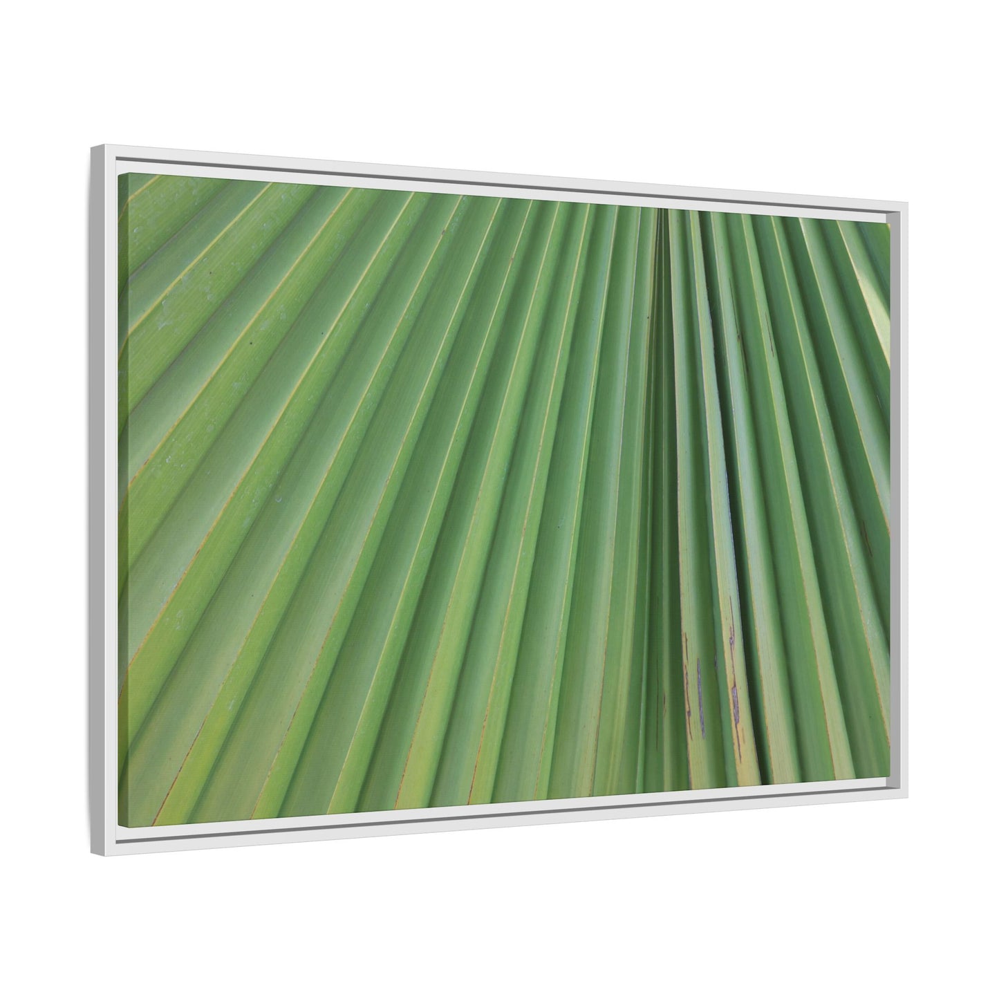 Emerald Rays - Unique Stretched Canvas Wall Art
