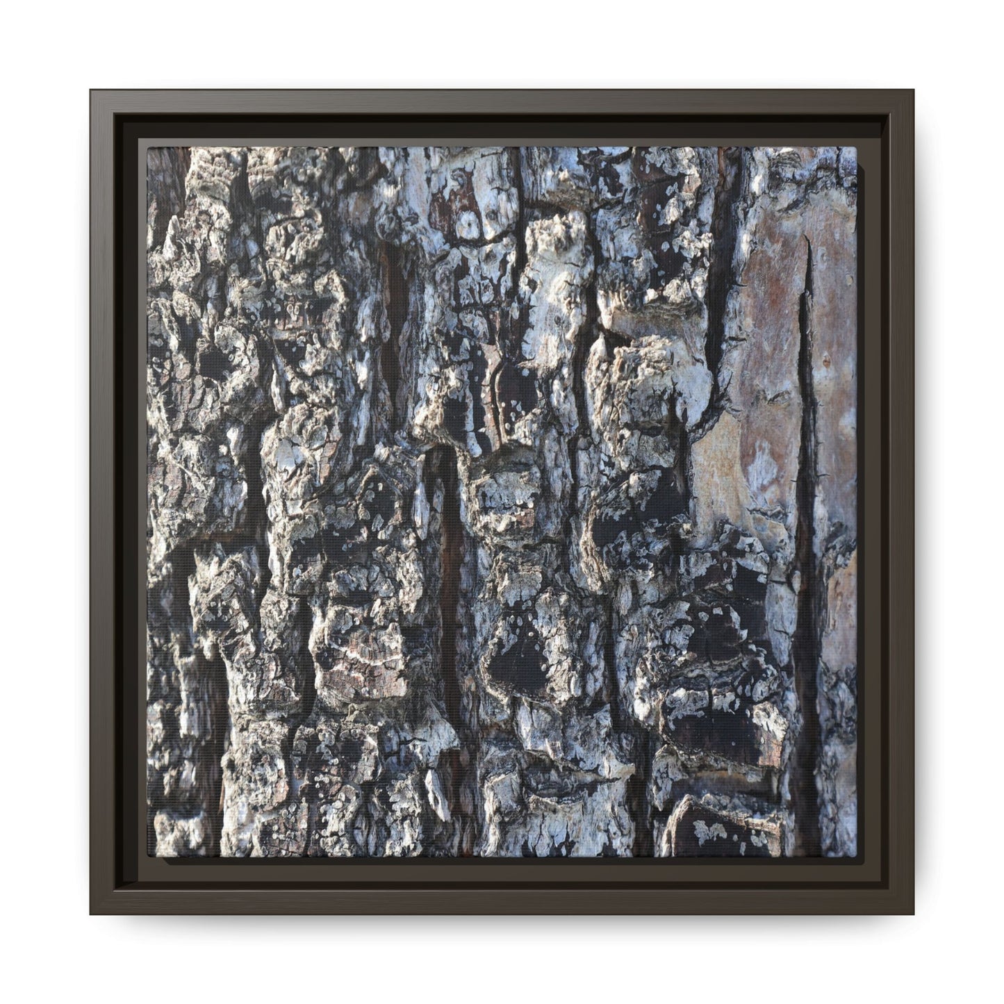 The Bark Chronicles - Unique Stretched Canvas Wall Art