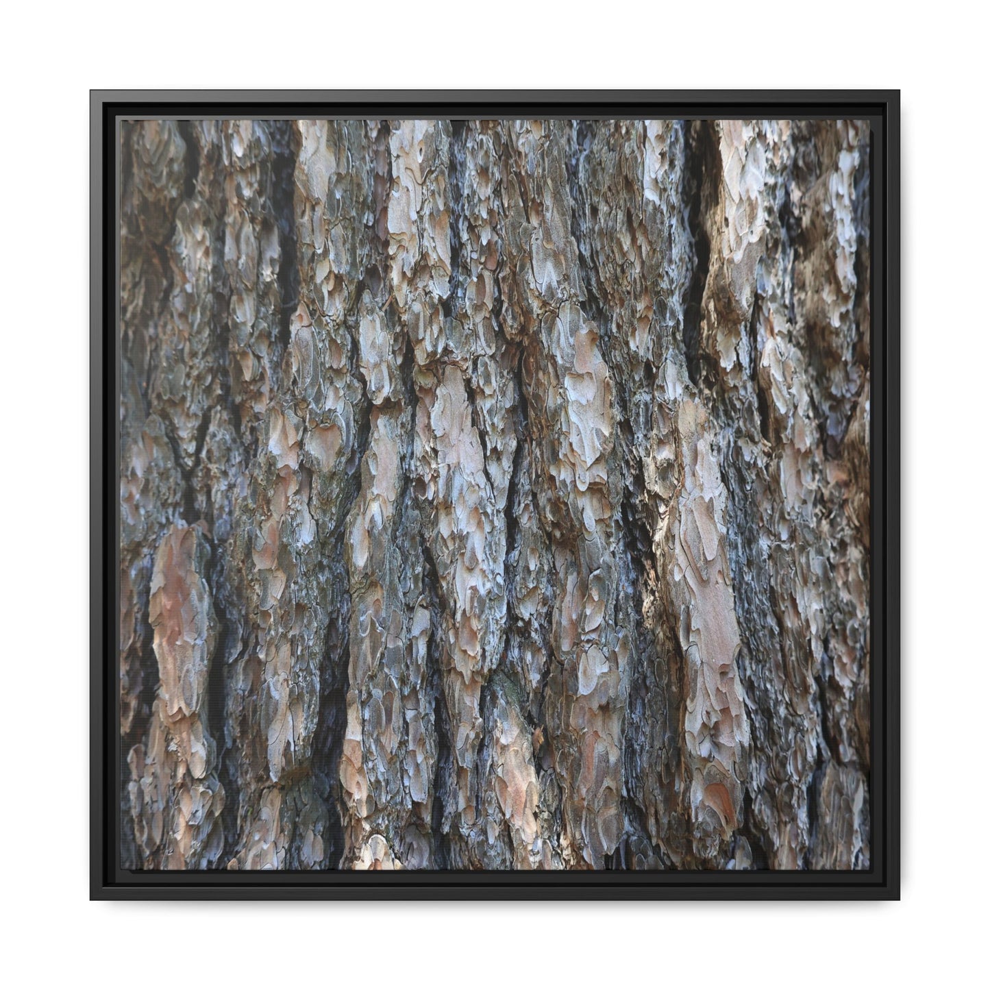 Bark Whispers - Unique Stretched Canvas Wall Art