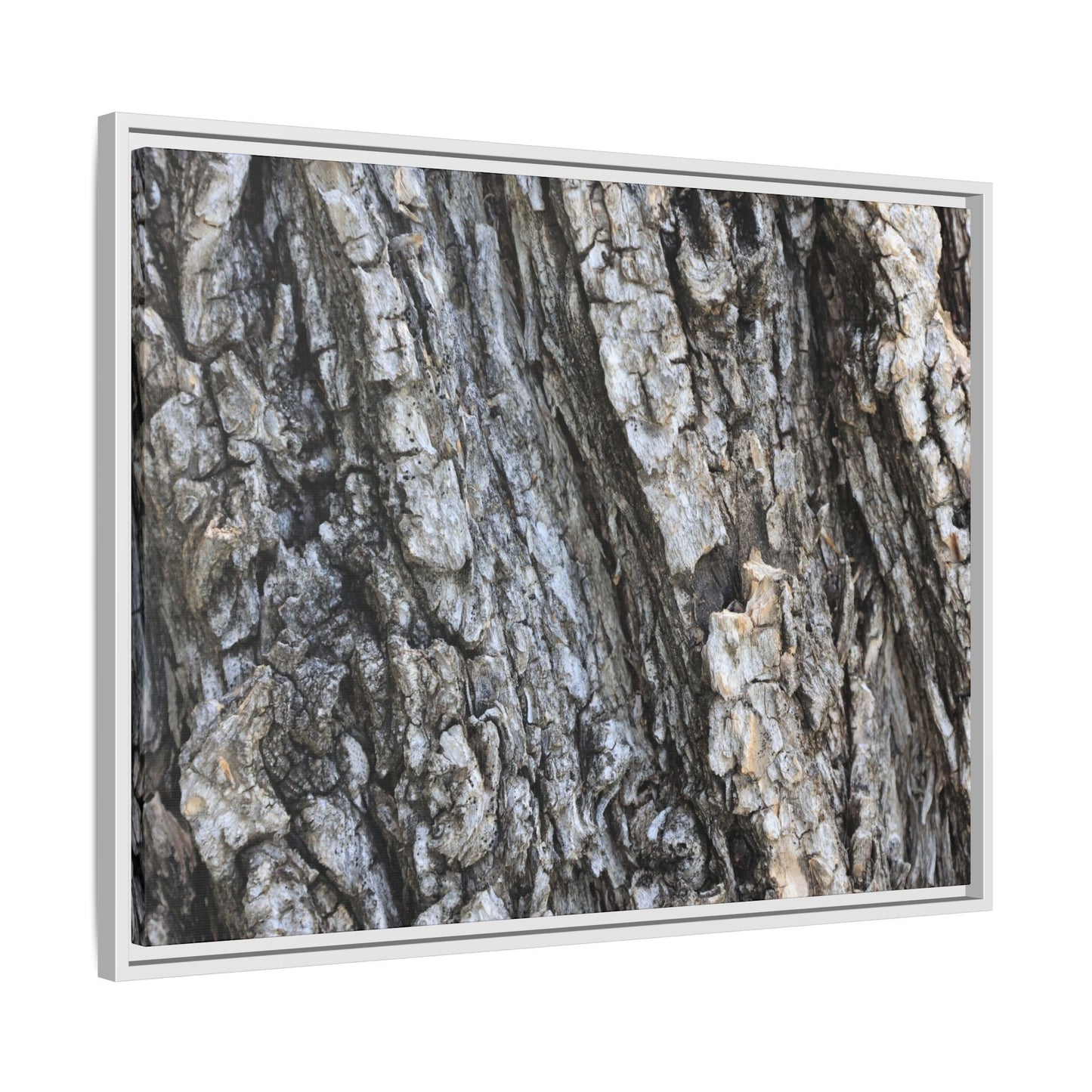 Twisted Textures - Unique Stretched Canvas Wall Art