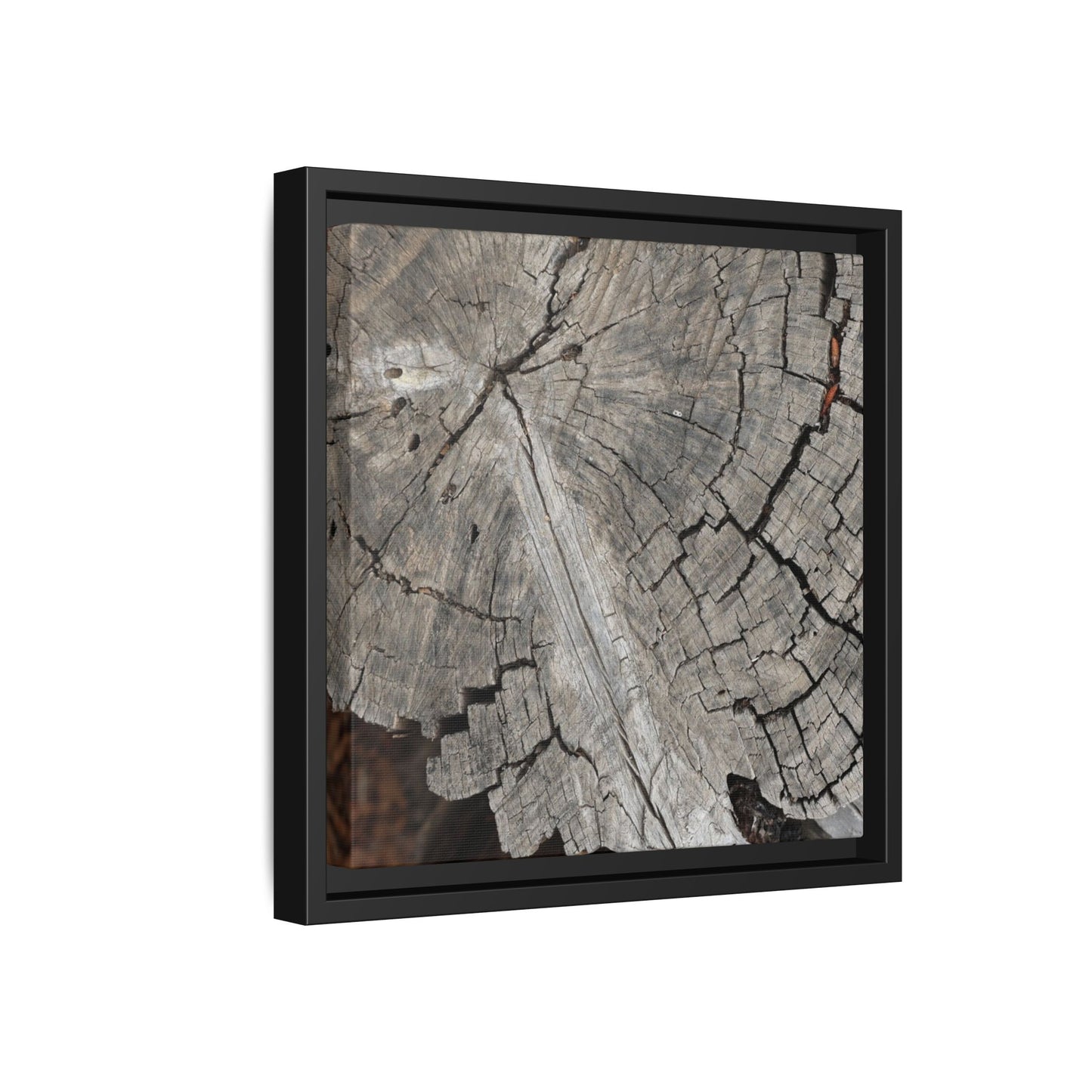 Time's Signature - Unique Stretched Canvas Wall Art