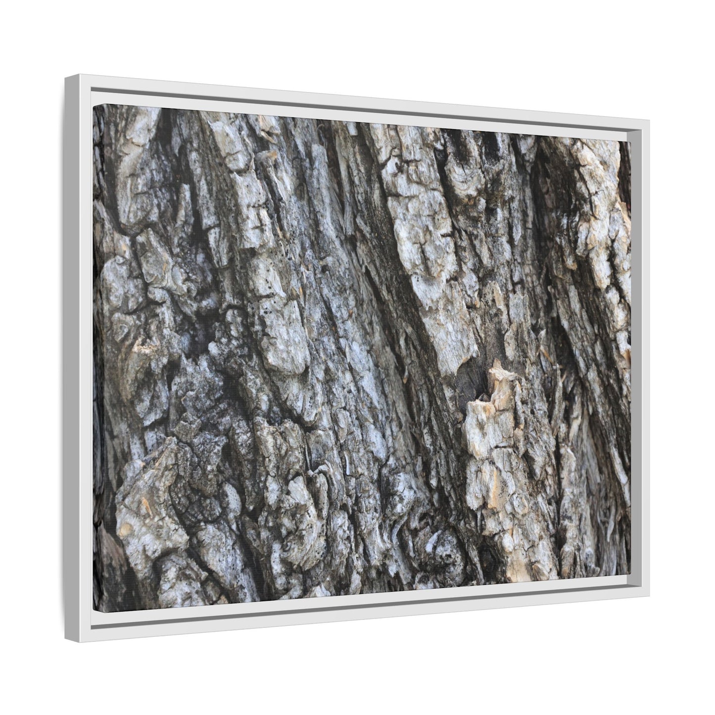 Twisted Textures - Unique Stretched Canvas Wall Art