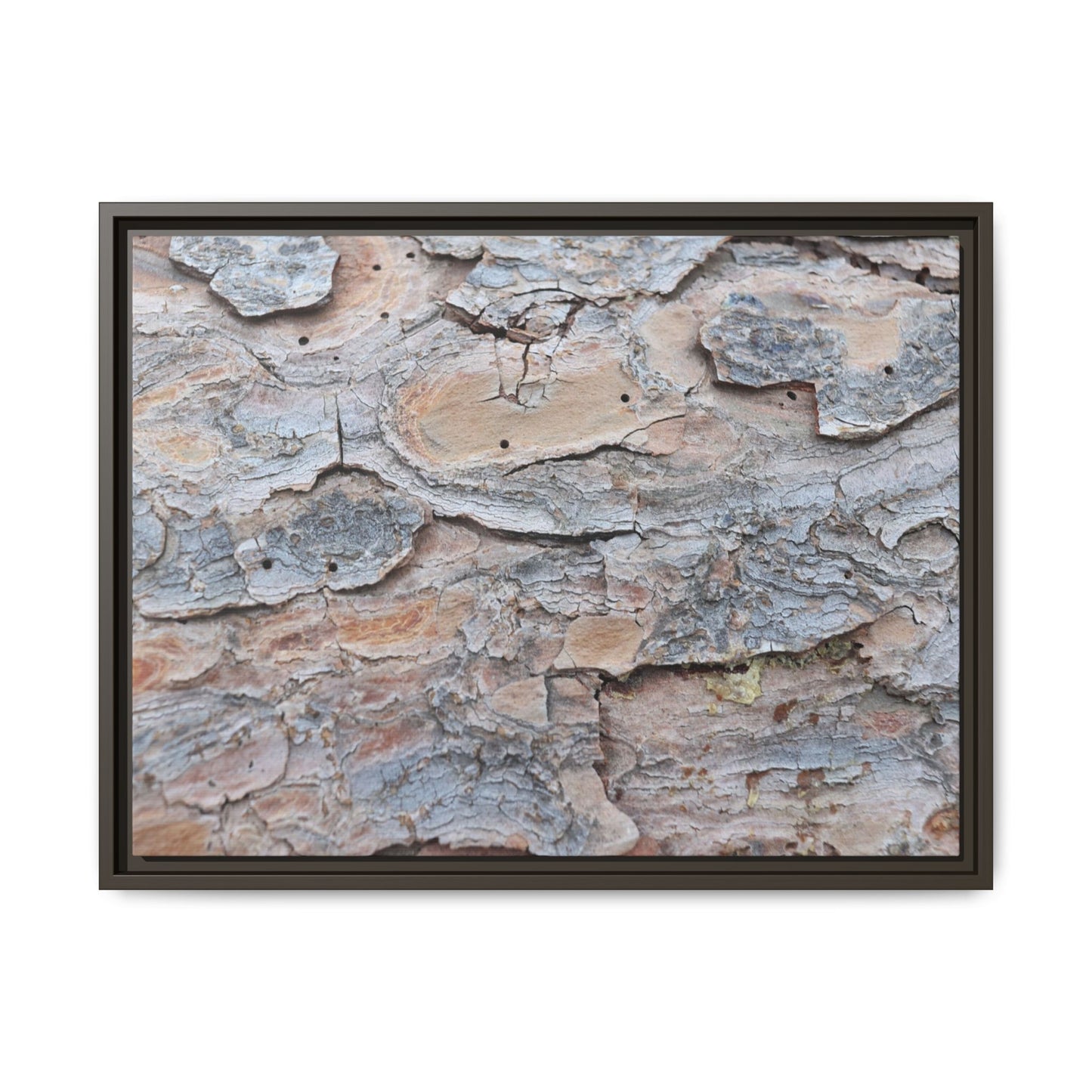 Peeling Memories - Unique Stretched Canvas Wall Art
