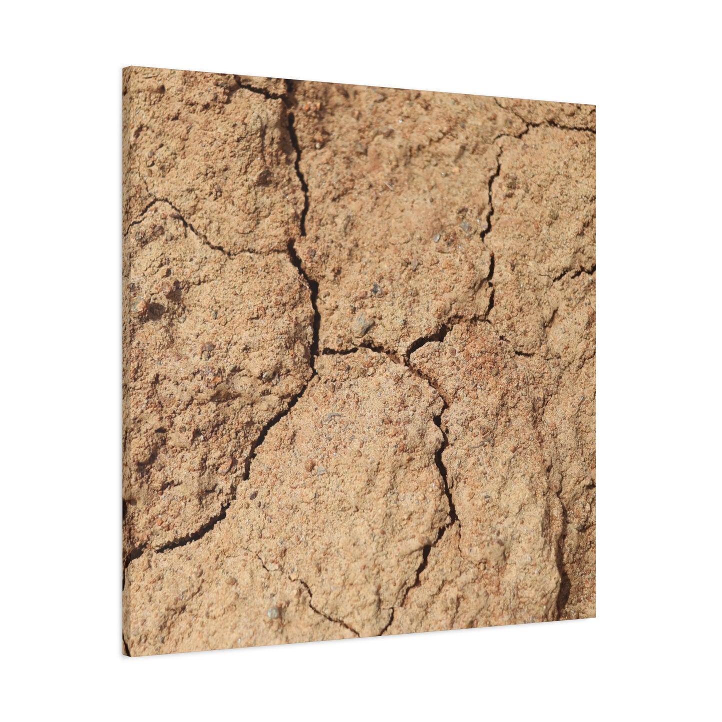 Cracked Earth's Lament - Unique Frameless Canvas Wall Art