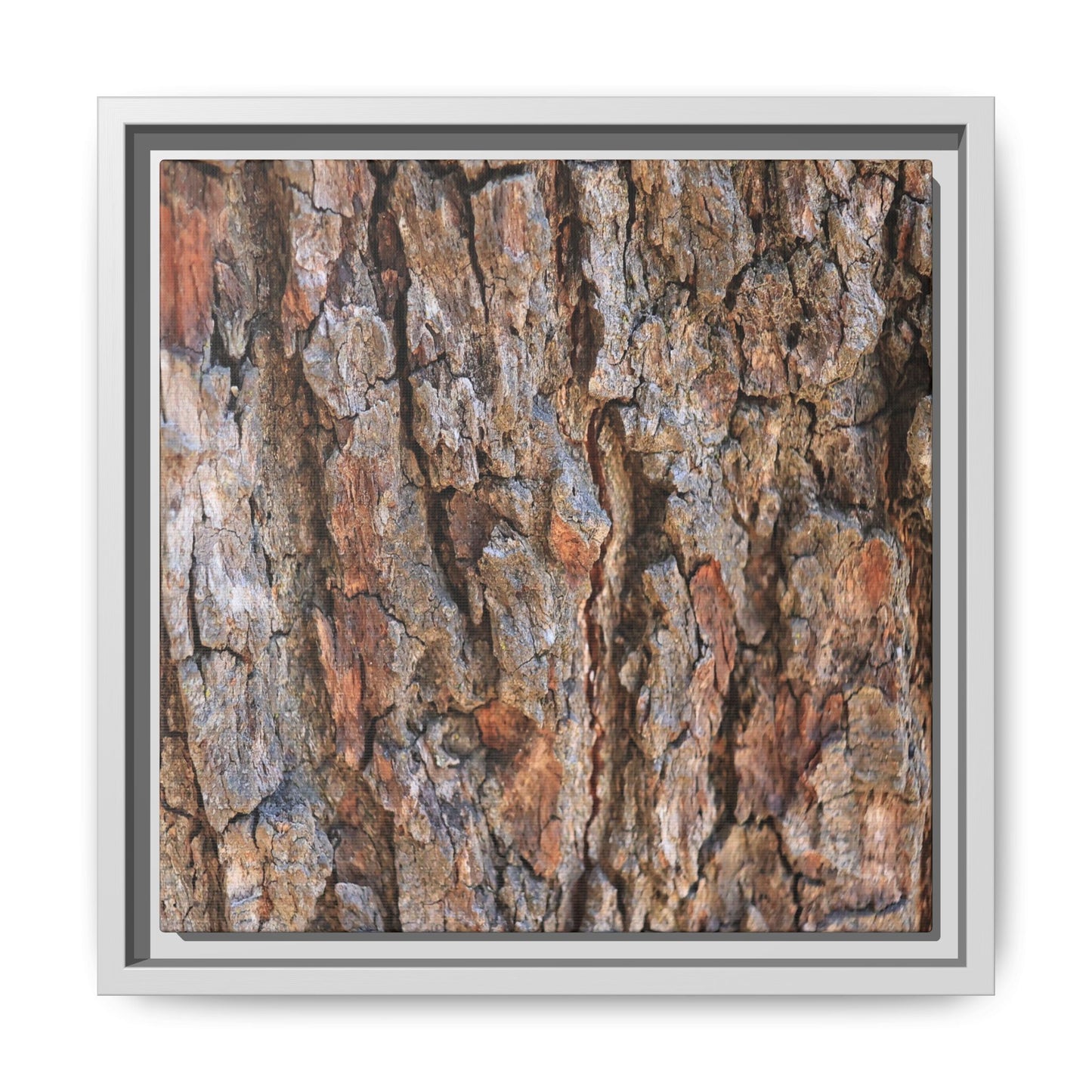 Tree's Timeworn Tale - Unique Stretched Canvas Wall Art