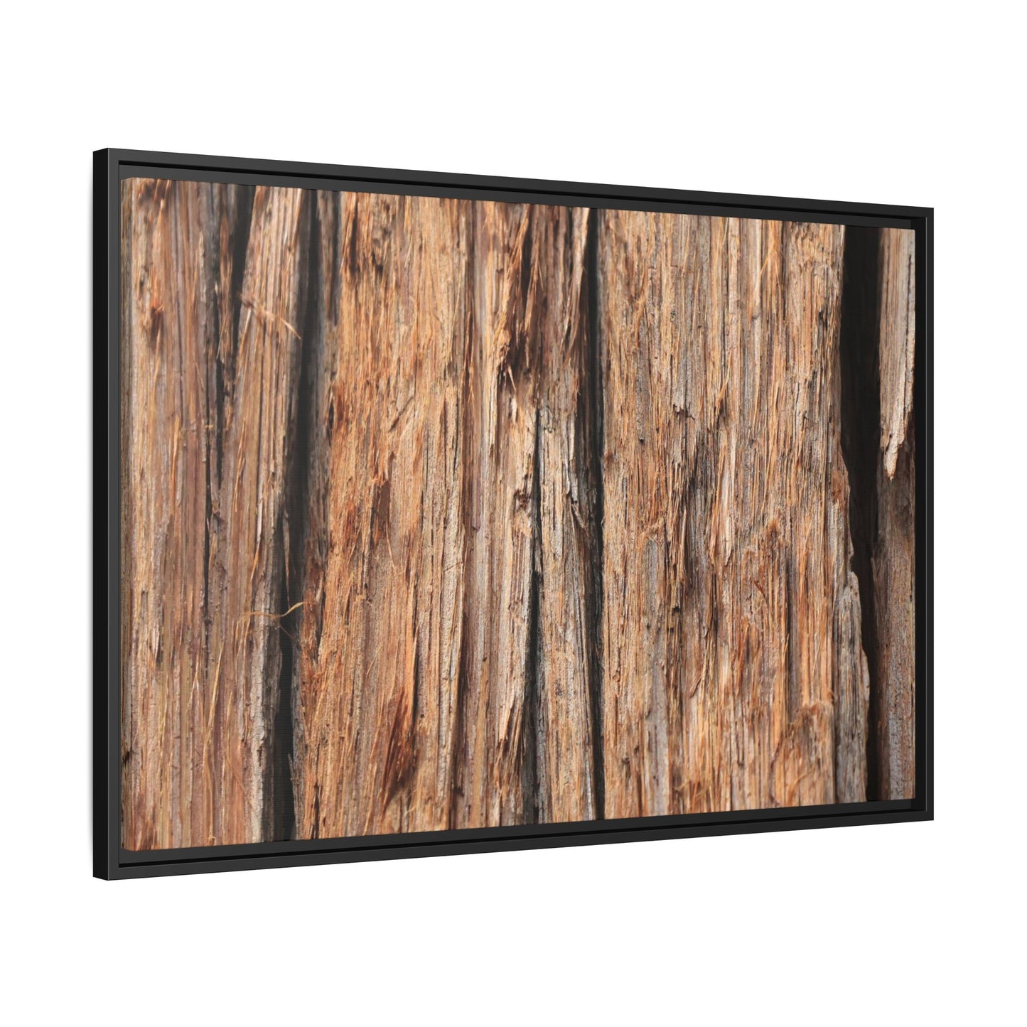Timber Echoes - Unique Stretched Canvas Wall Art