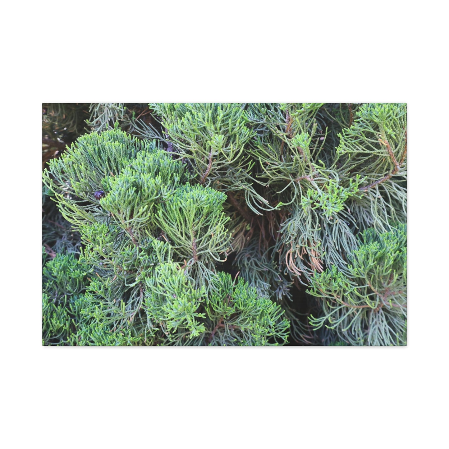 Green Labyrinth - Unique Frameless Canvas Wall Art