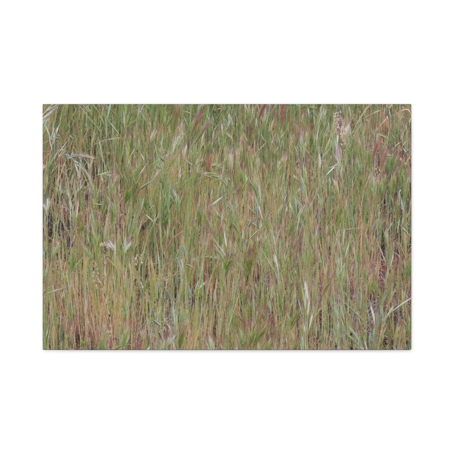 Whispers of the Prairie - Unique Frameless Canvas Wall Art