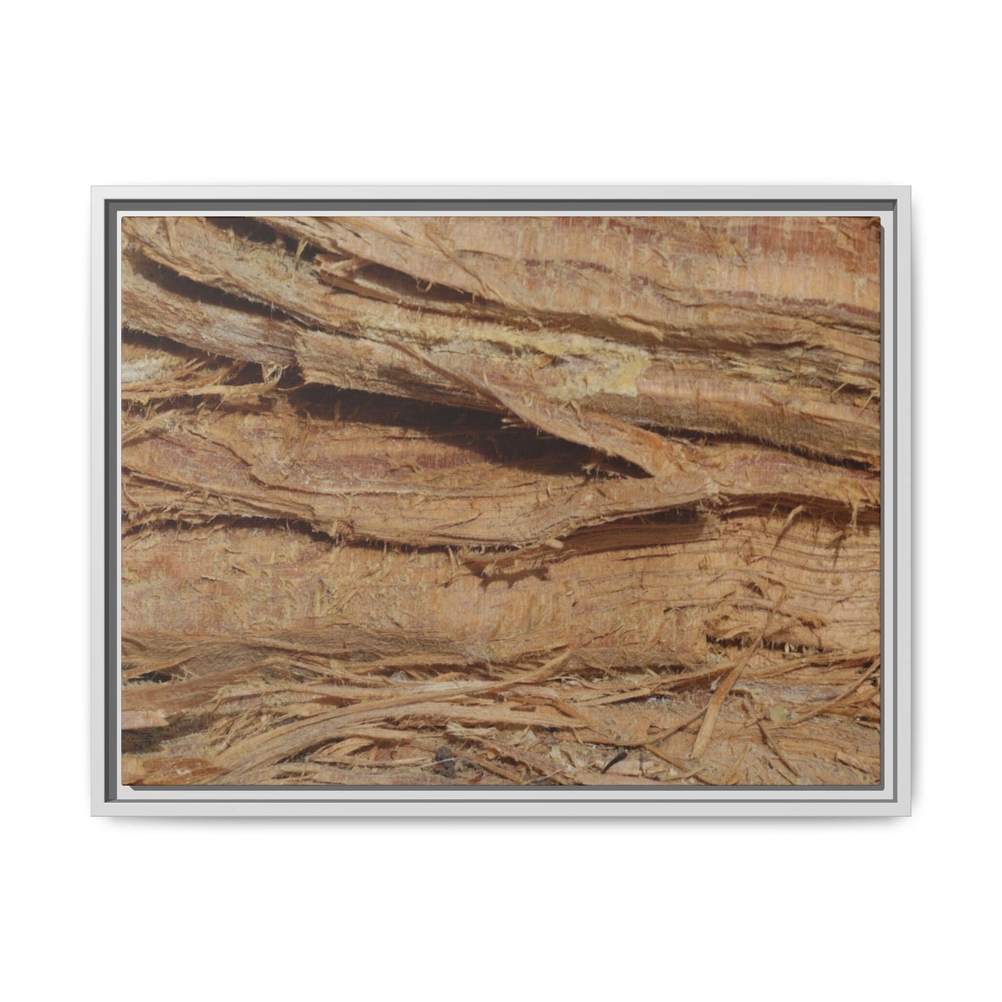 Splintered Bark - Unique Stretched Canvas Wall Art
