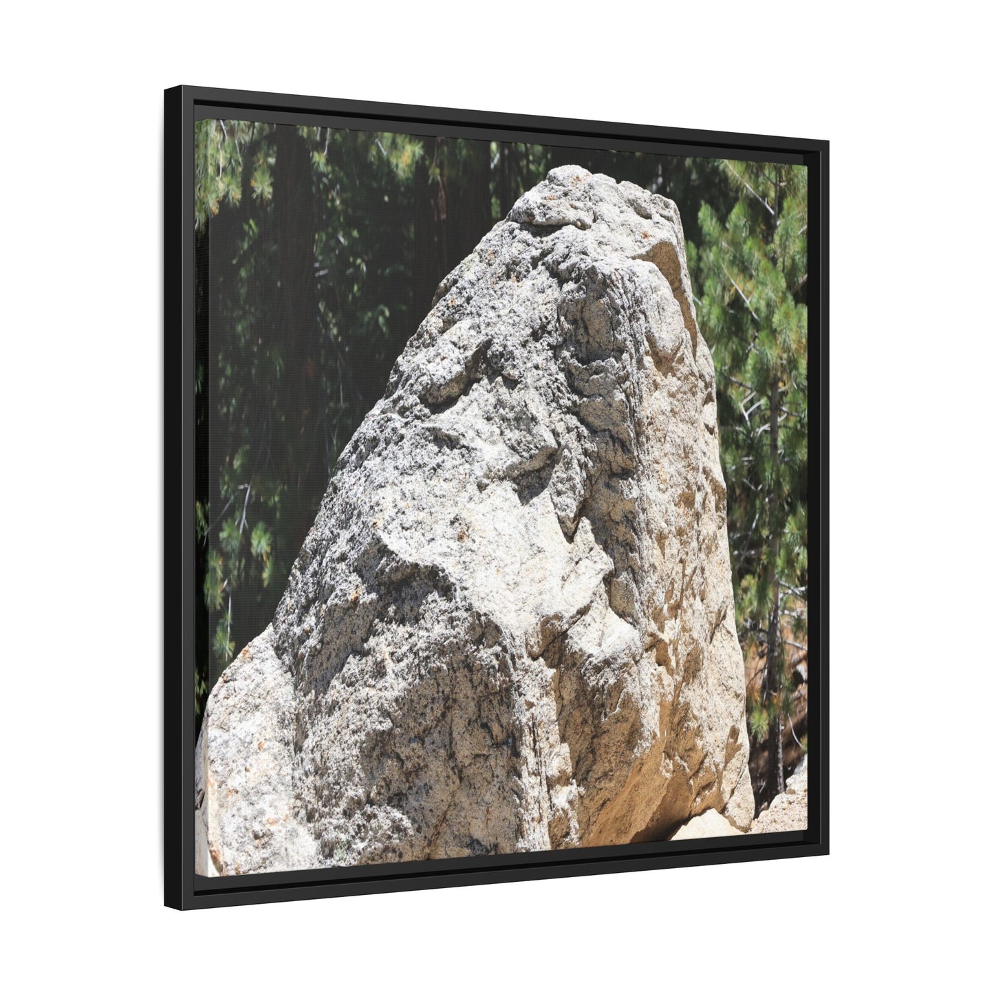 Stone's Silent Whisper - Unique Stretched Canvas Wall Art