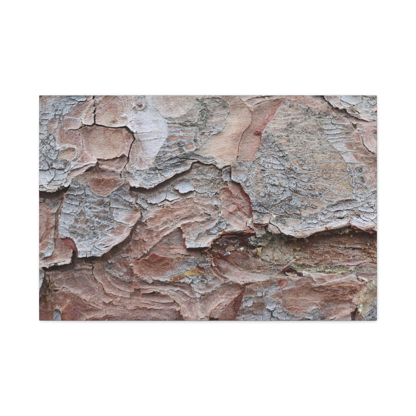 Textural Landscape - Unique Frameless Canvas Wall Art