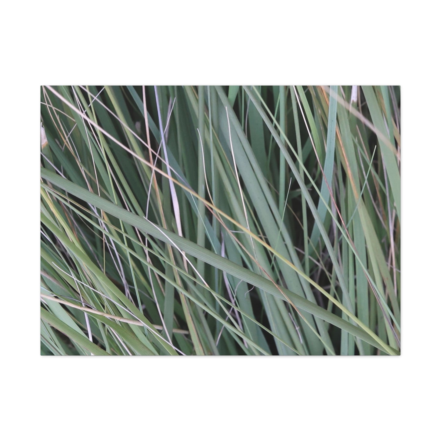 Whispers of Green - Unique Frameless Canvas Wall Art