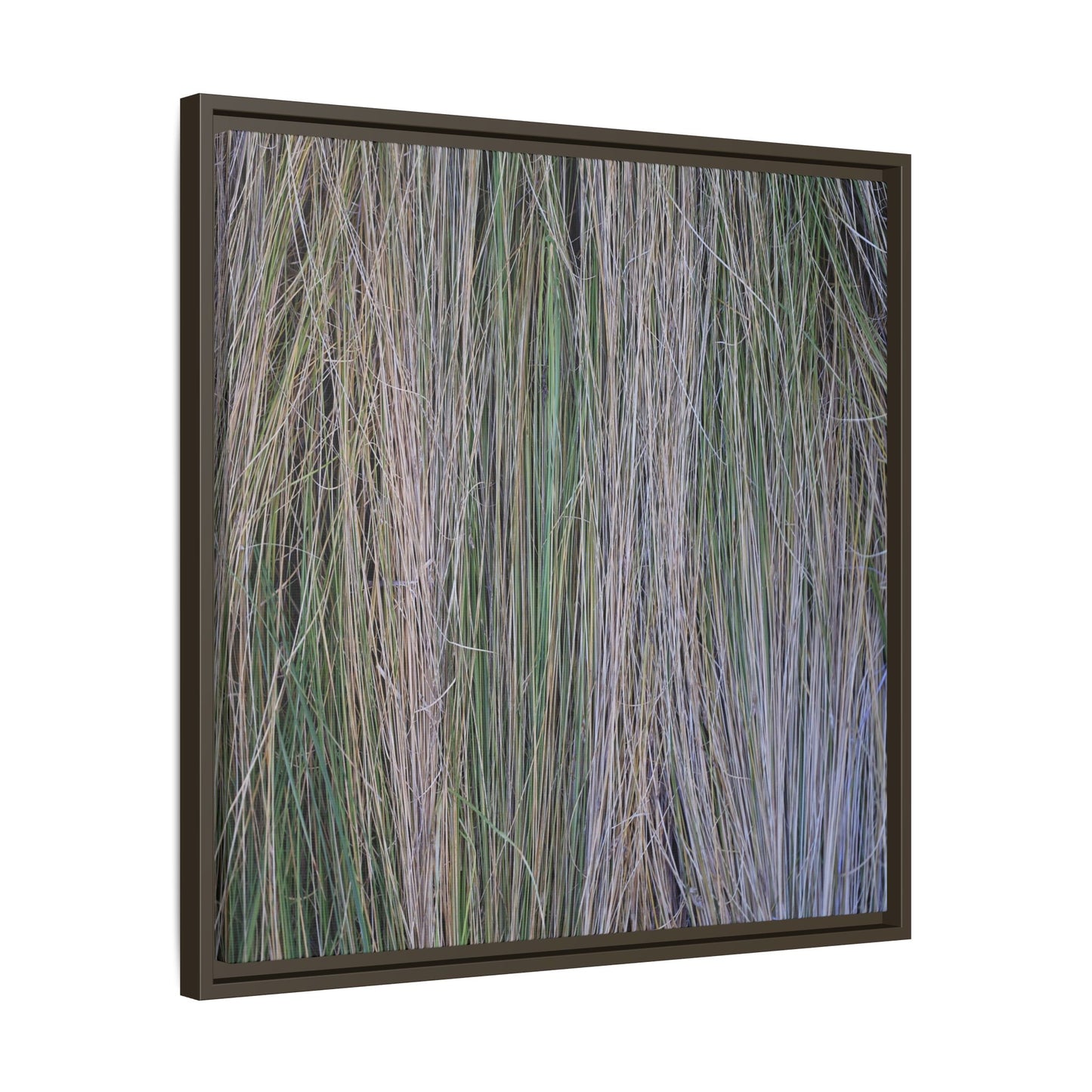 Whispers of Silver Grass - Unique Stretched Canvas Wall Art