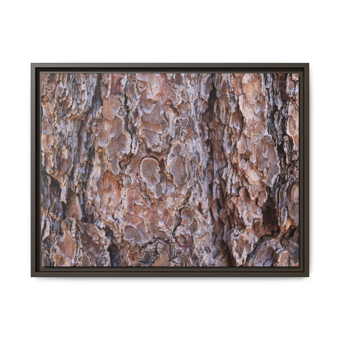 Woody Layers - Unique Stretched Canvas Wall Art