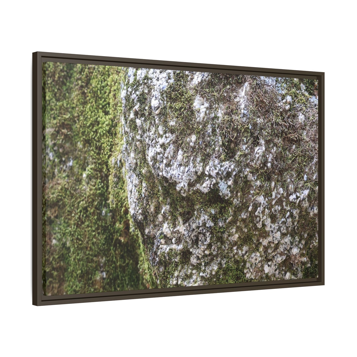 Lichen Landscape - Unique Stretched Canvas Wall Art