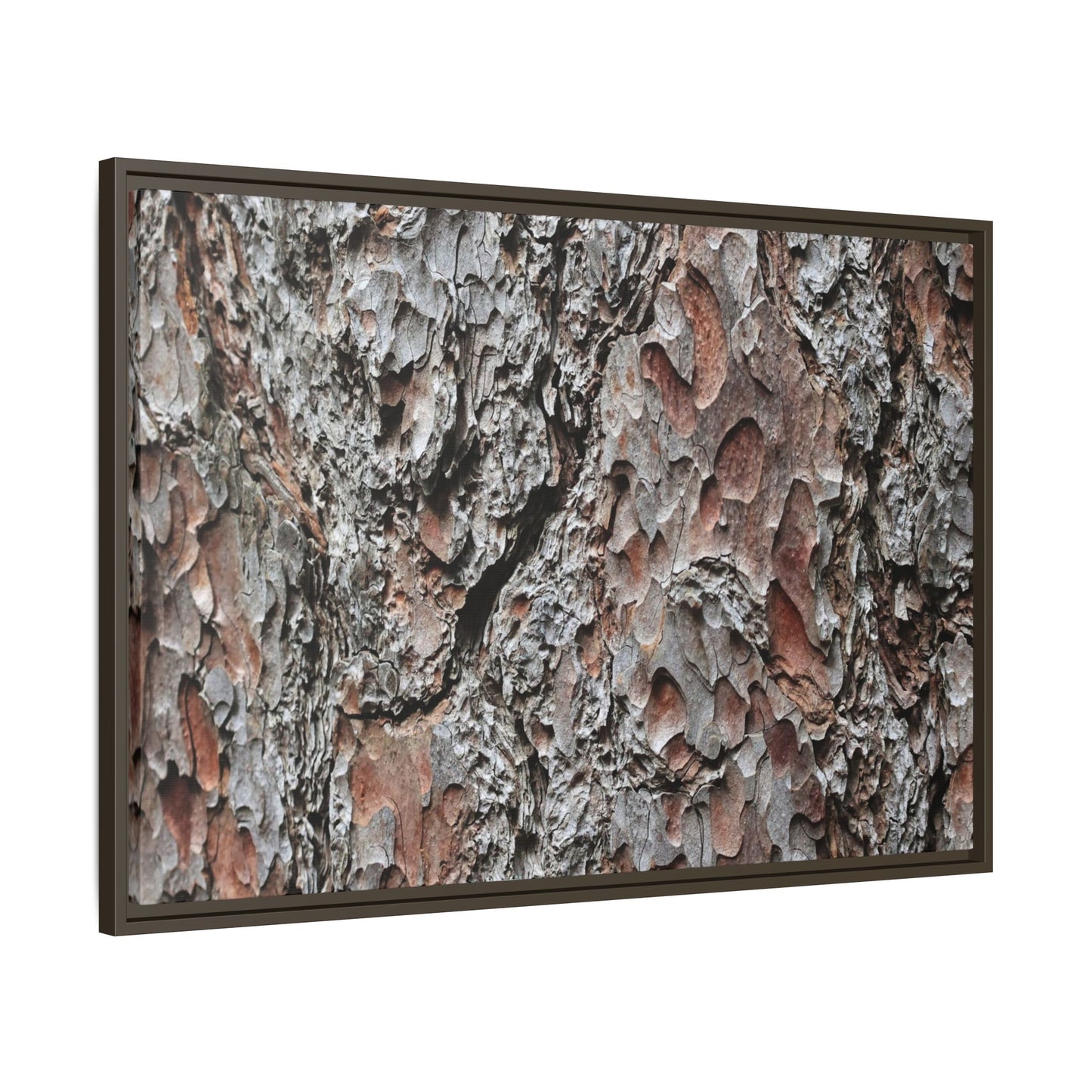 Bark Texture Symphony - Unique Stretched Canvas Wall Art