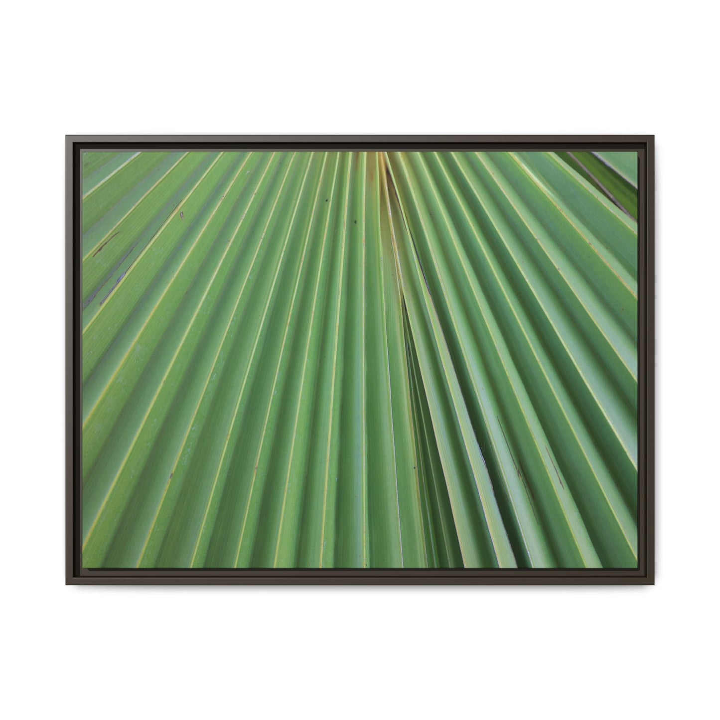 Verdant Veins - Unique Stretched Canvas Wall Art