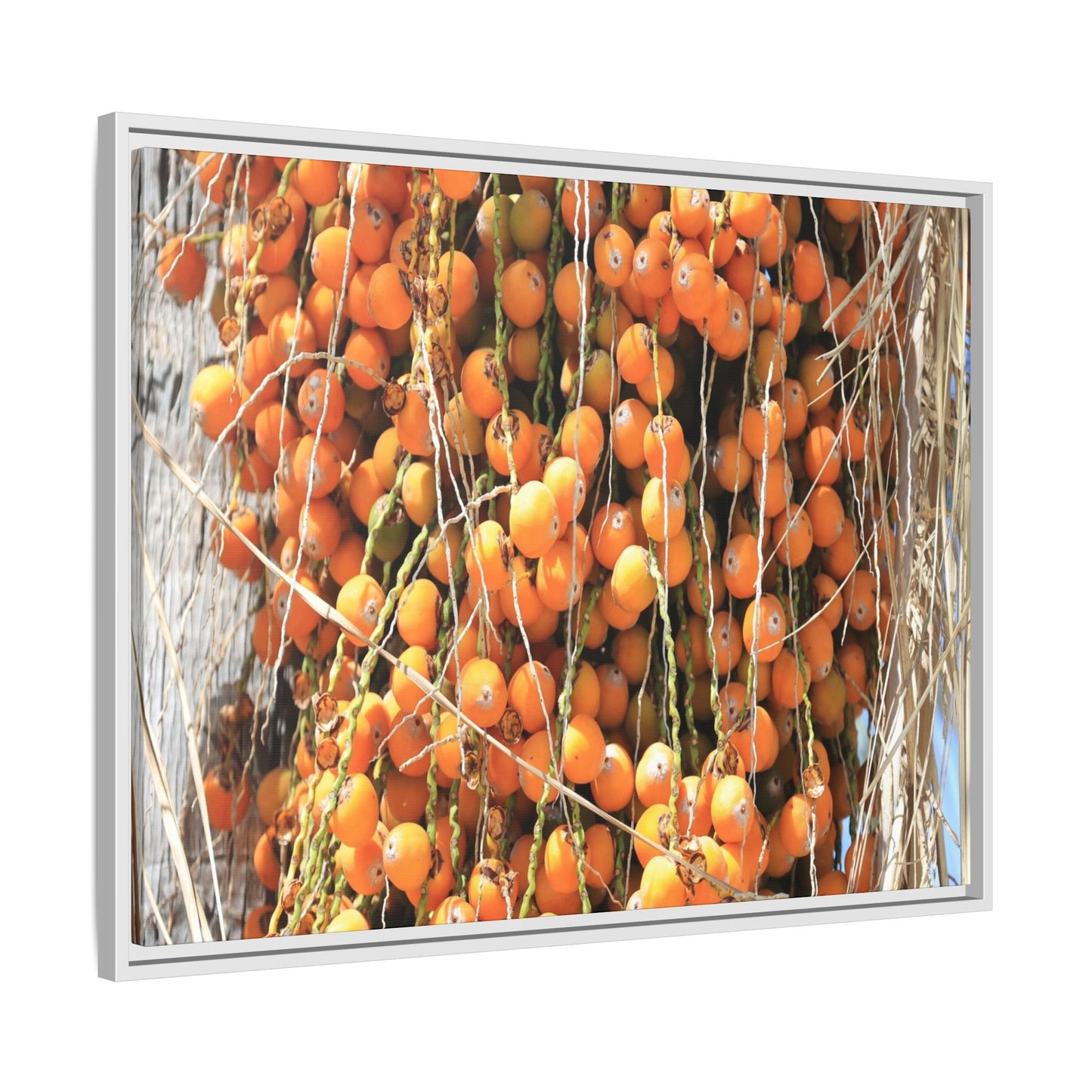Clusters of Sunlight - Unique Canvas Wall Art