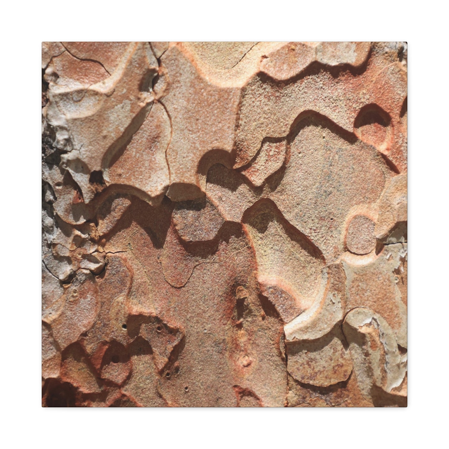 Terracotta Echoes - Unique Frameless Canvas Wall Art