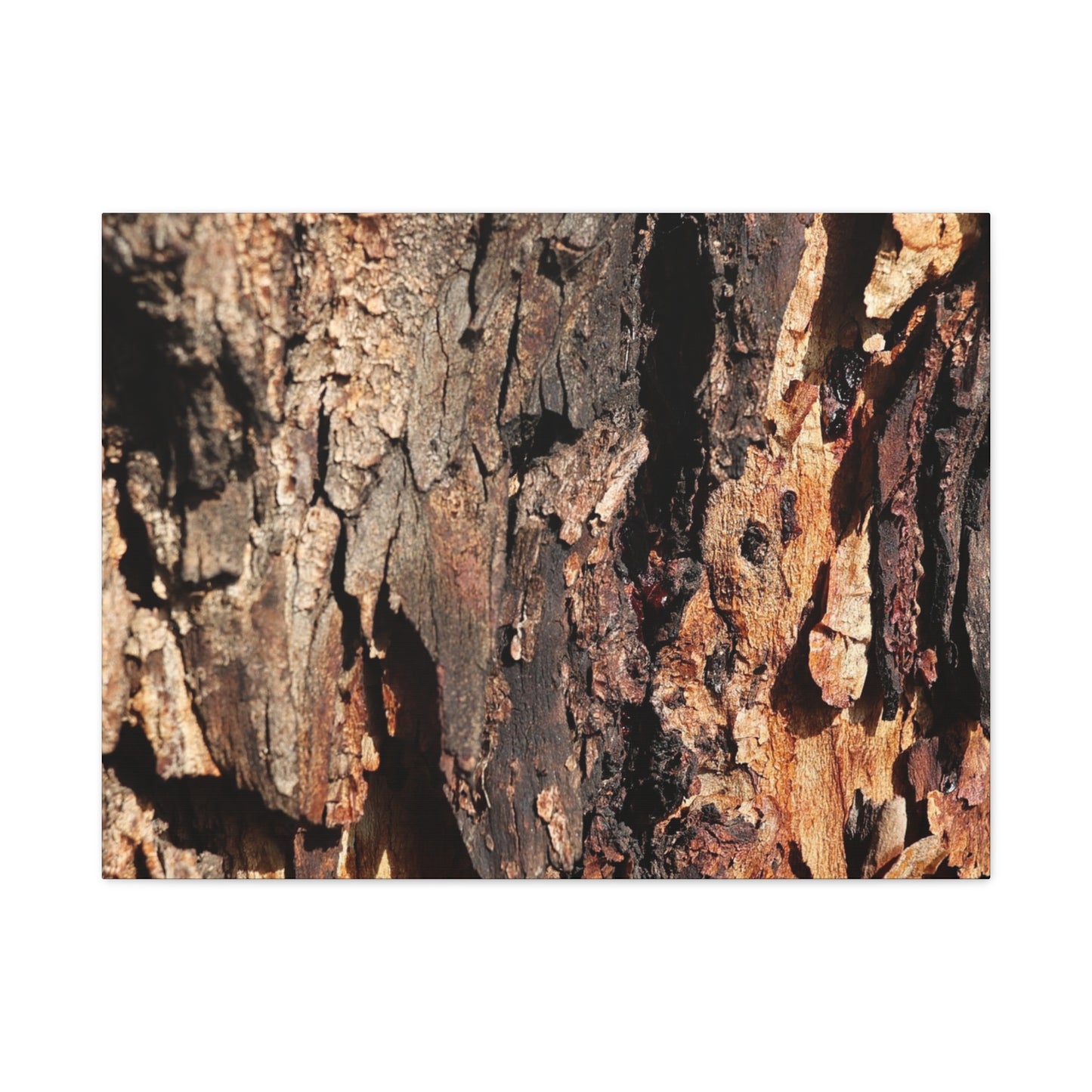 Wooden Terrain - Unique Frameless Canvas Wall Art