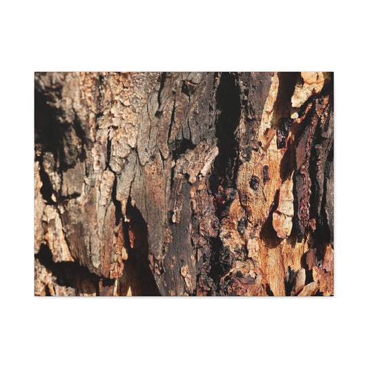 Wooden Terrain - Unique Frameless Canvas Wall Art - Art By Earth