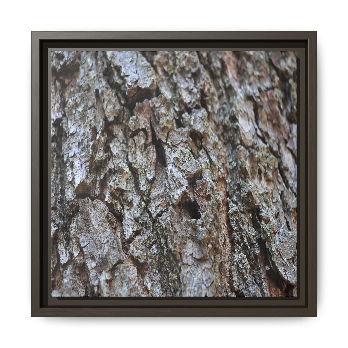 Woodland Canvas - Unique Stretched Canvas Wall Art