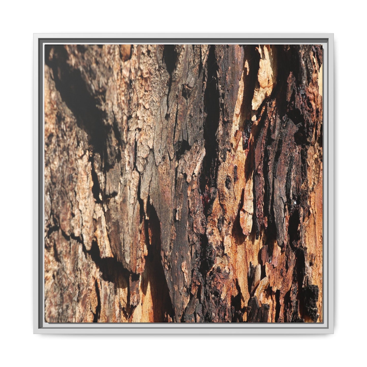 Rugged Beauty - Unique Stretched Canvas Wall Art