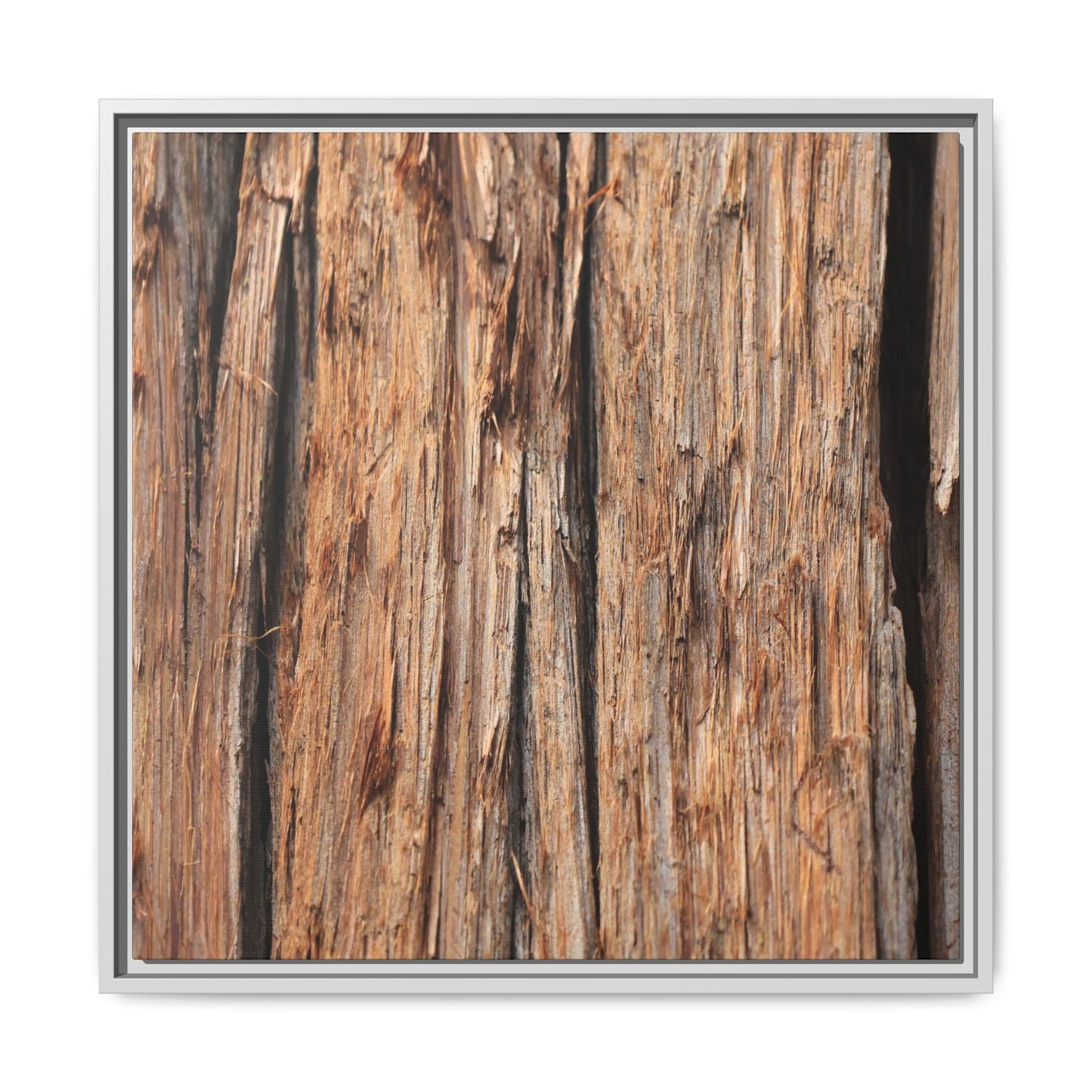 Timber Echoes - Unique Stretched Canvas Wall Art