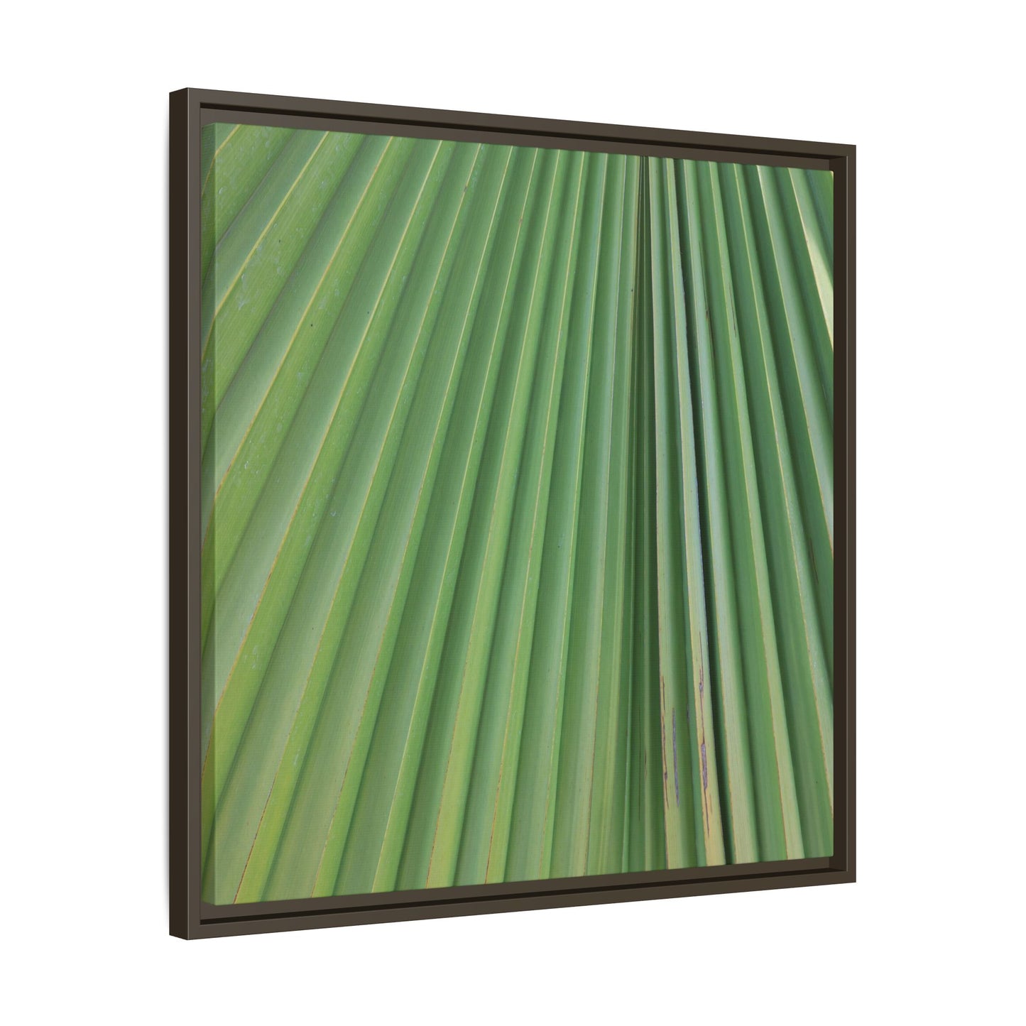 Emerald Rays - Unique Stretched Canvas Wall Art