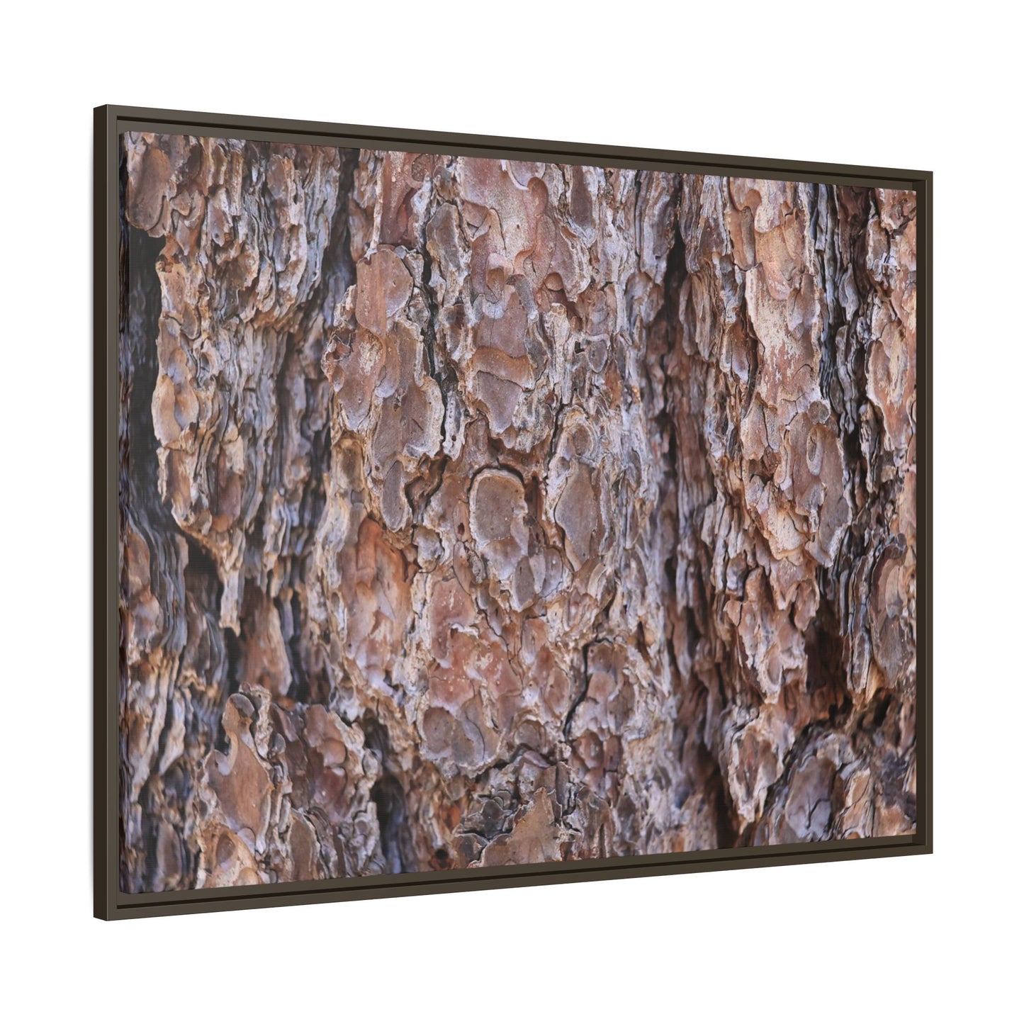 Woody Layers - Unique Stretched Canvas Wall Art