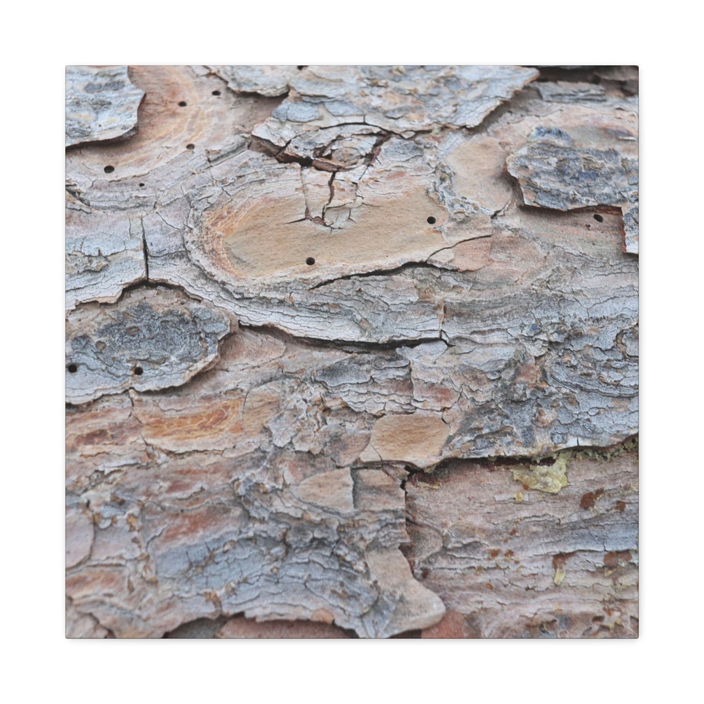 Textural Geology - Unique Frameless Canvas Wall Art